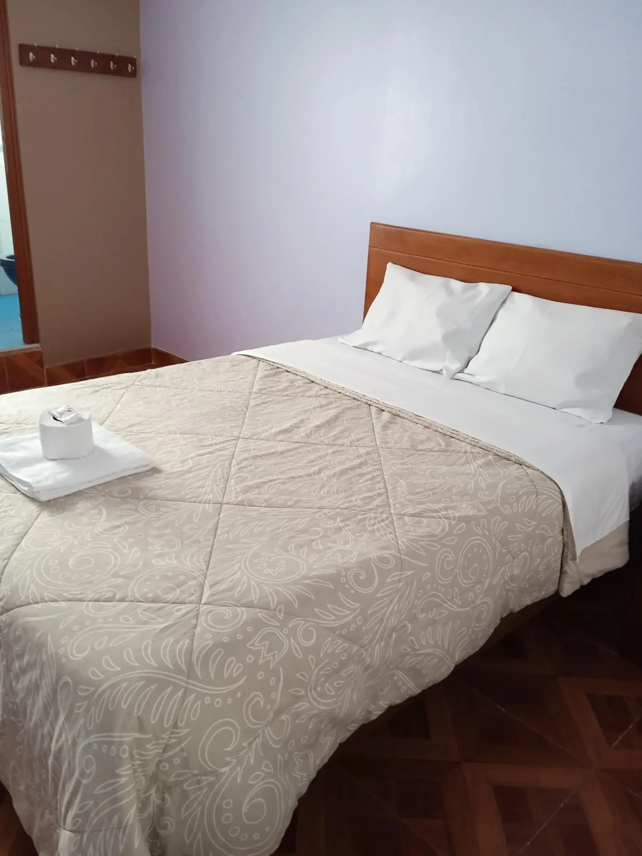 Double Room in Hospedaje Feliz Double Room in Hospedaje Feliz