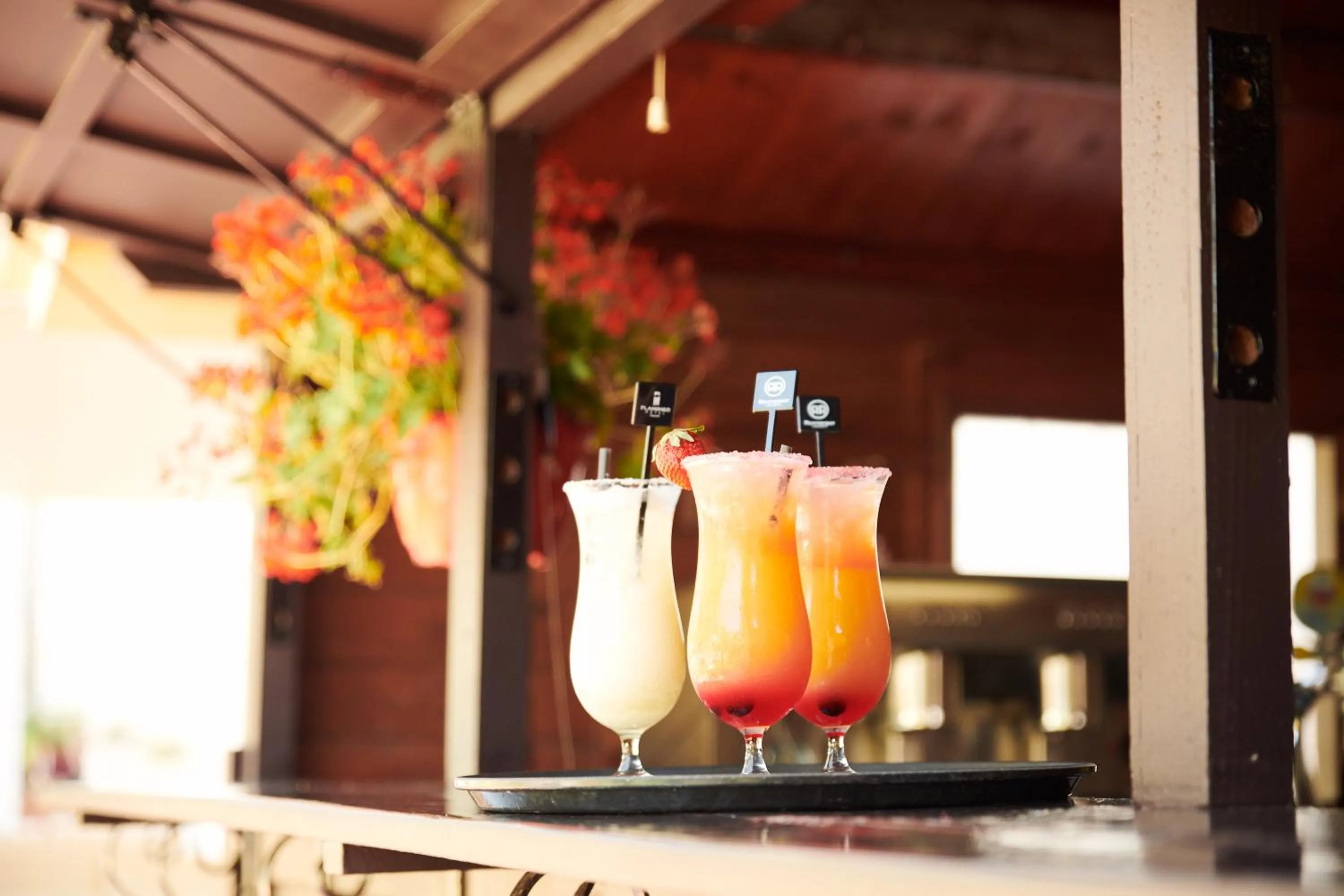 Lounge or bar in Checkin Flamingo