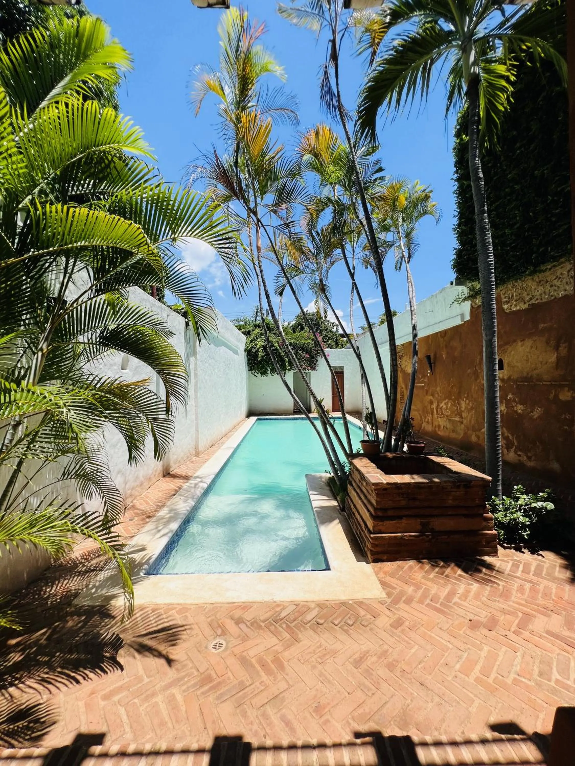 One-Bedroom Apartment in Paseo Colonial - Sabbatical #1