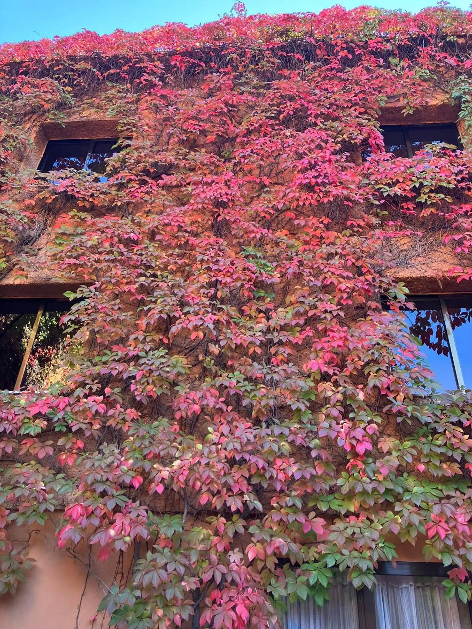 Garden in Porcel Alixares