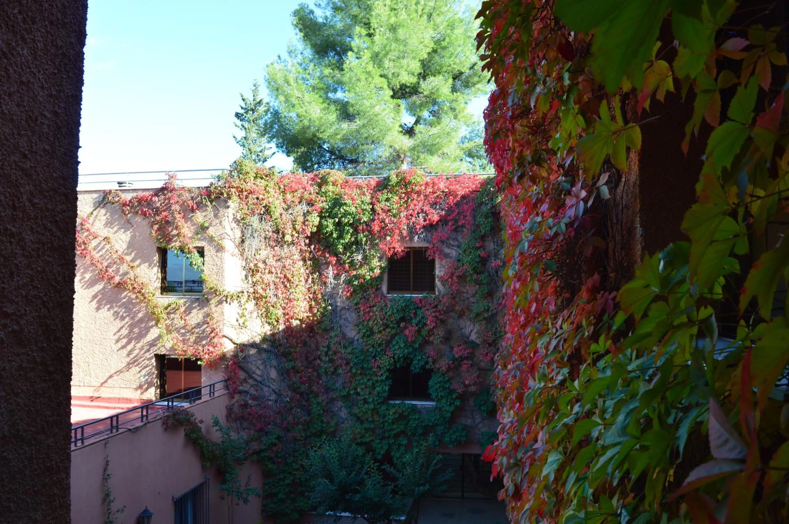 Garden view in Porcel Alixares