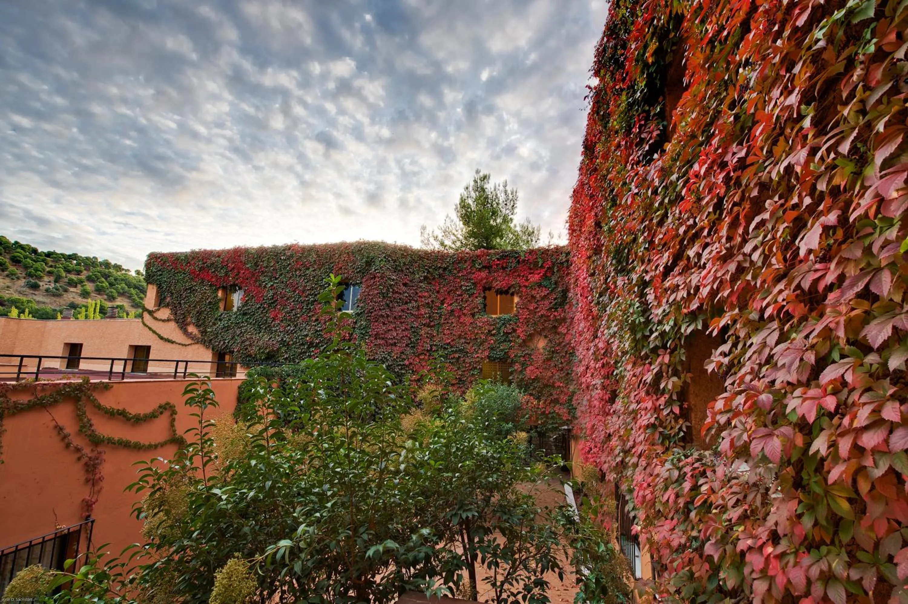Garden view in Porcel Alixares