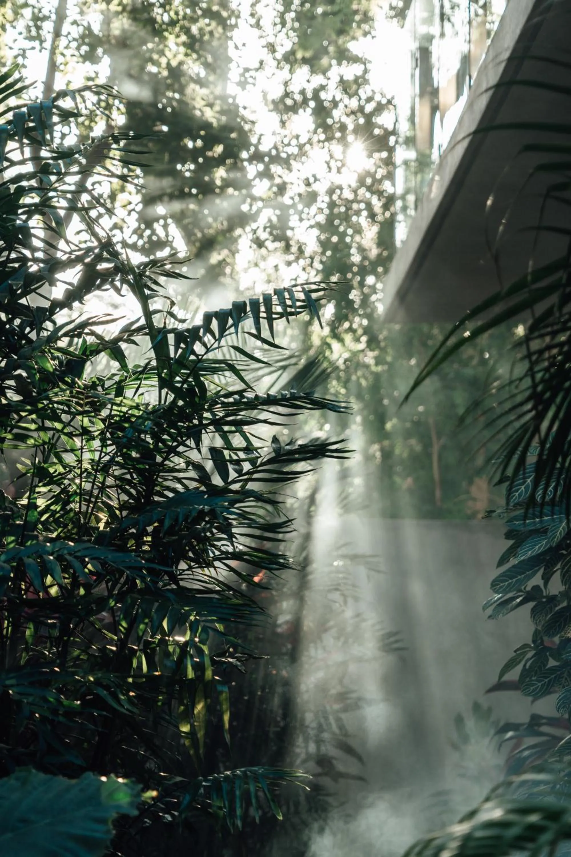 Natural landscape in NAJ Boutique Hotel - Aldea Zama