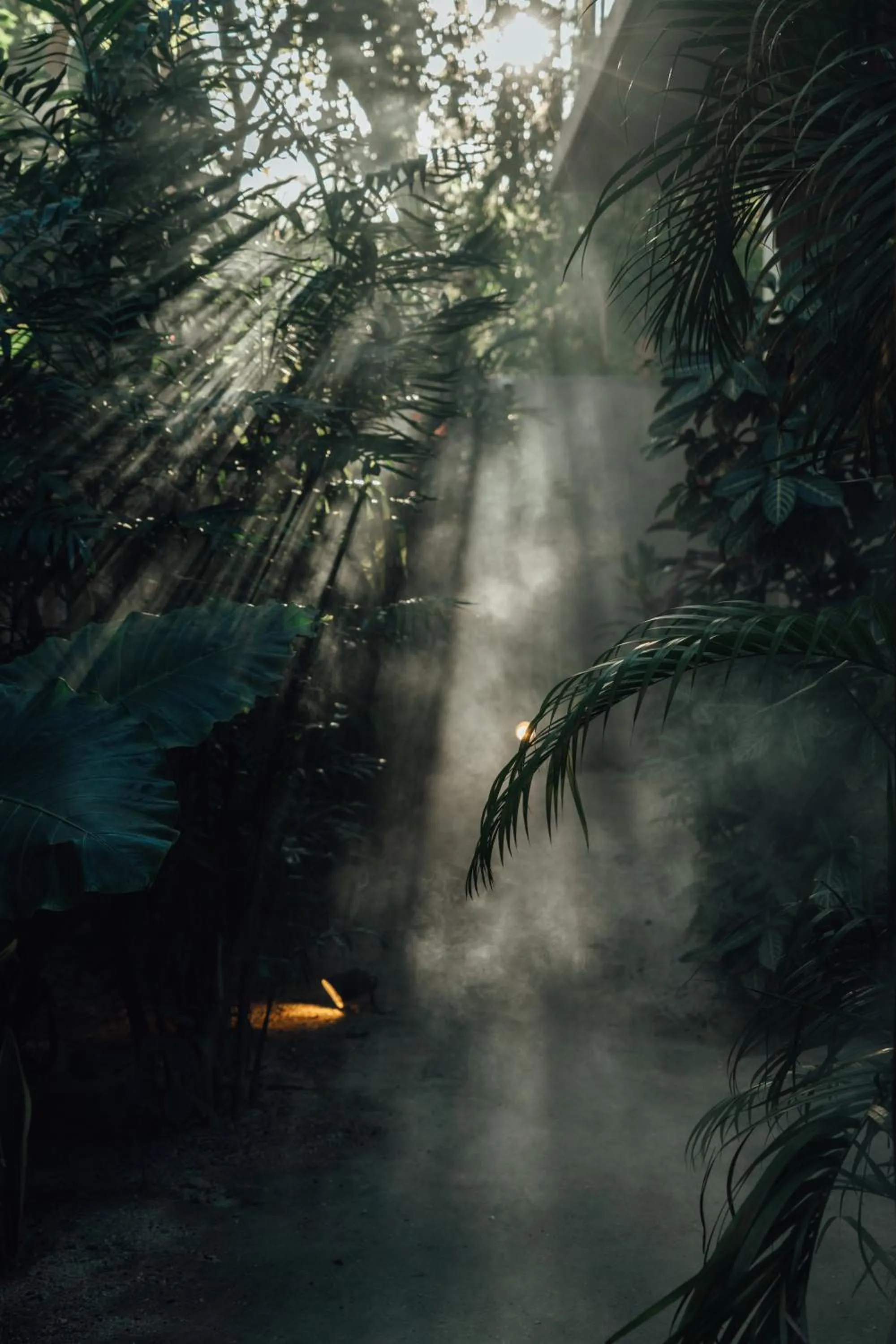 Natural landscape in NAJ Boutique Hotel - Aldea Zama