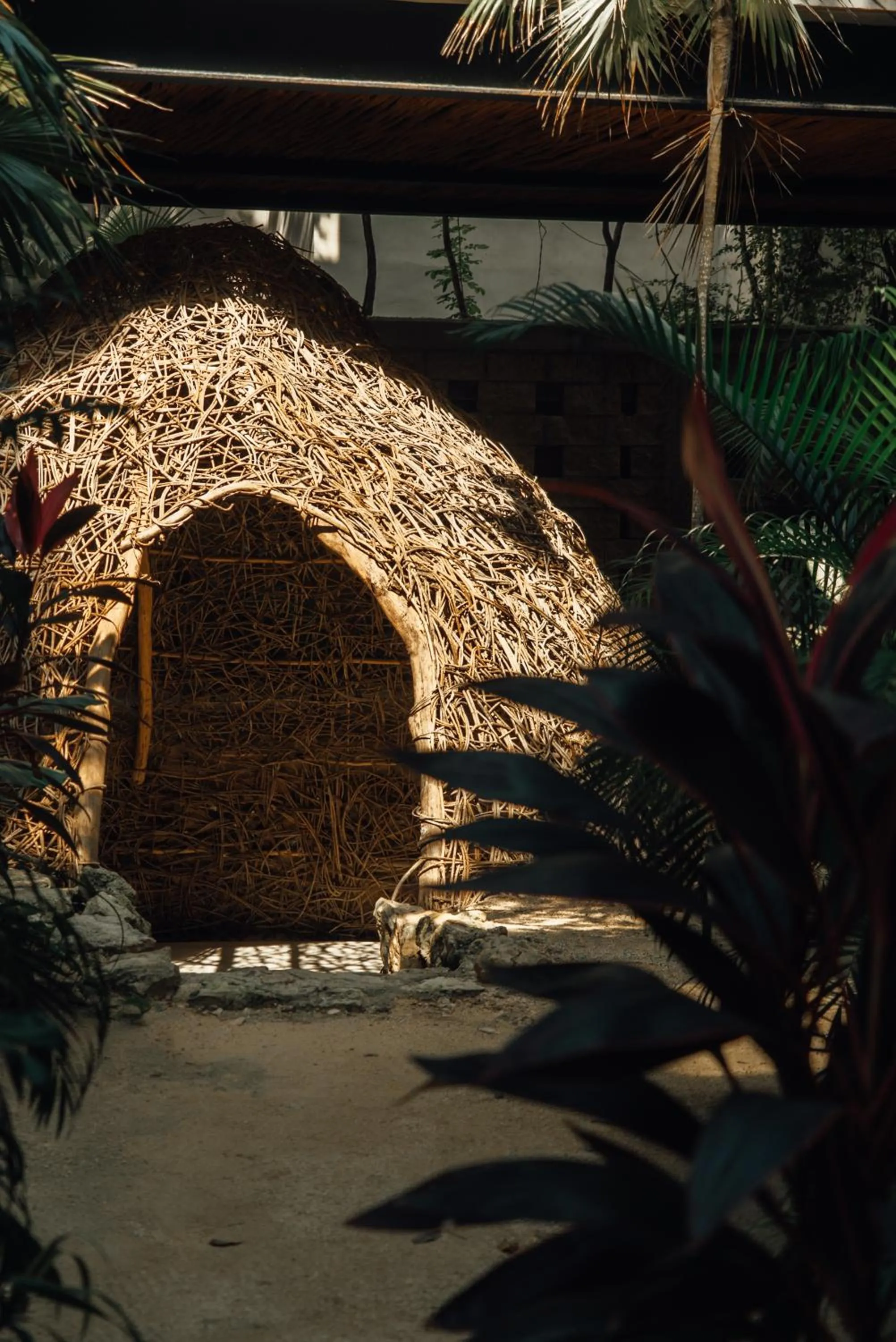 Garden in NAJ Boutique Hotel - Aldea Zama