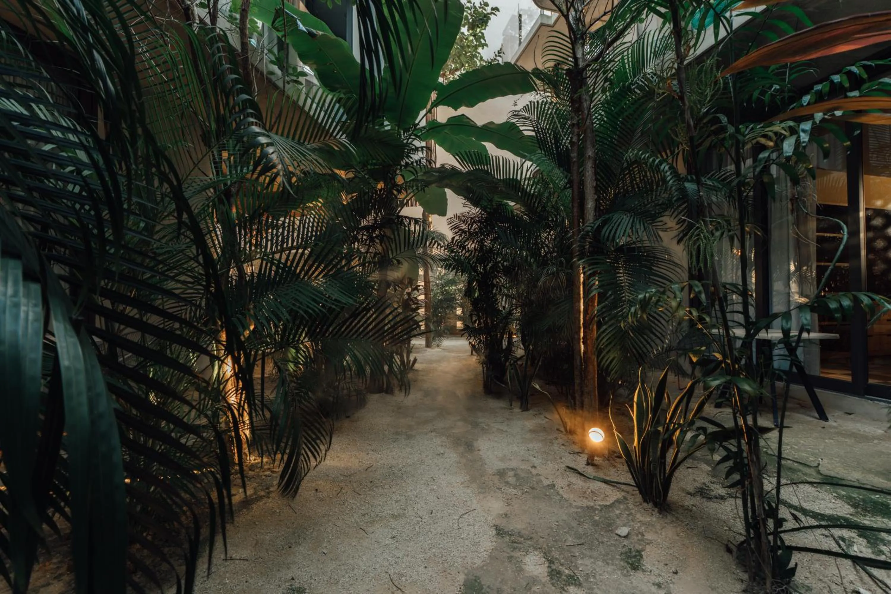 Natural landscape in NAJ Boutique Hotel - Aldea Zama