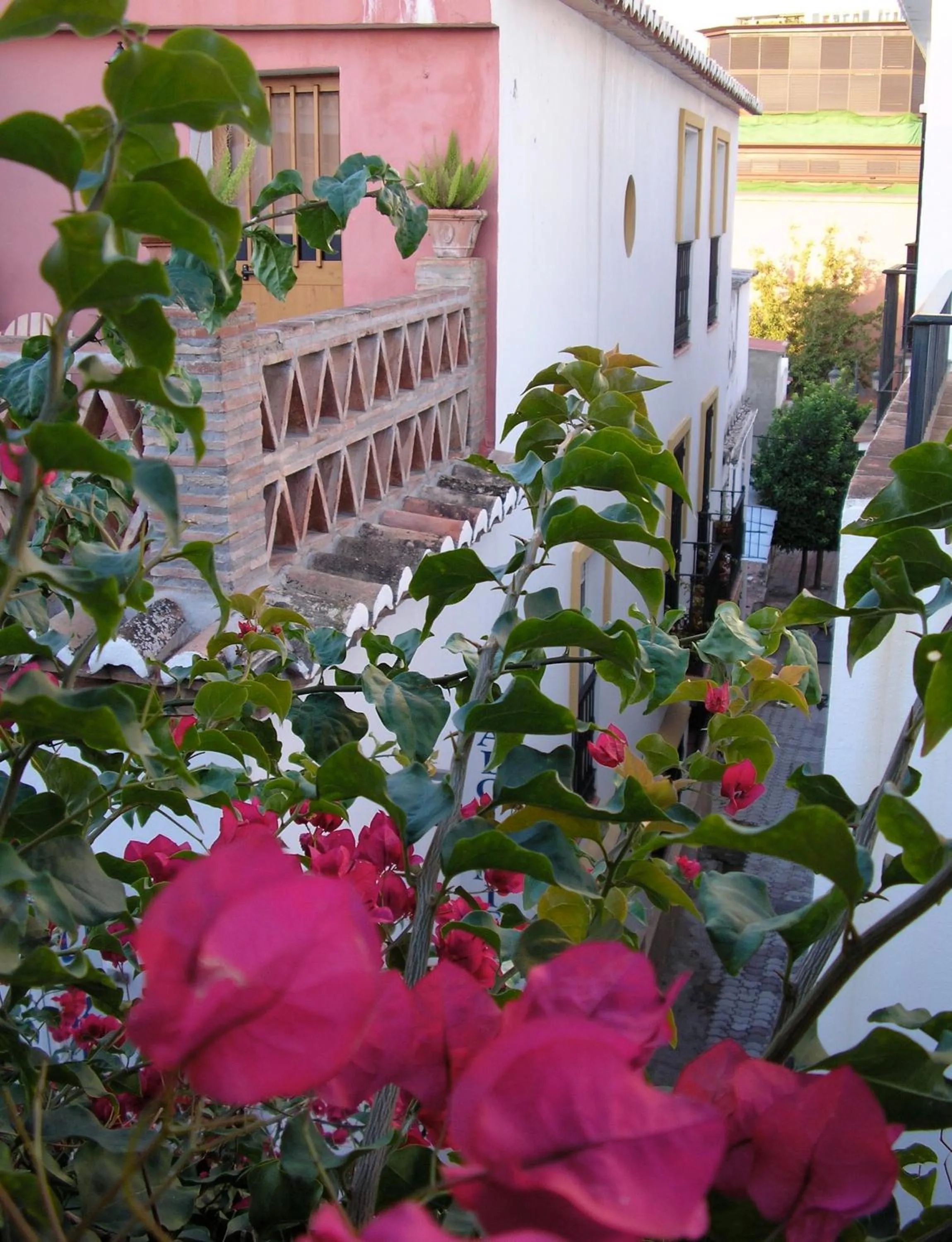 Balcony/Terrace in Puerta De Aduares
