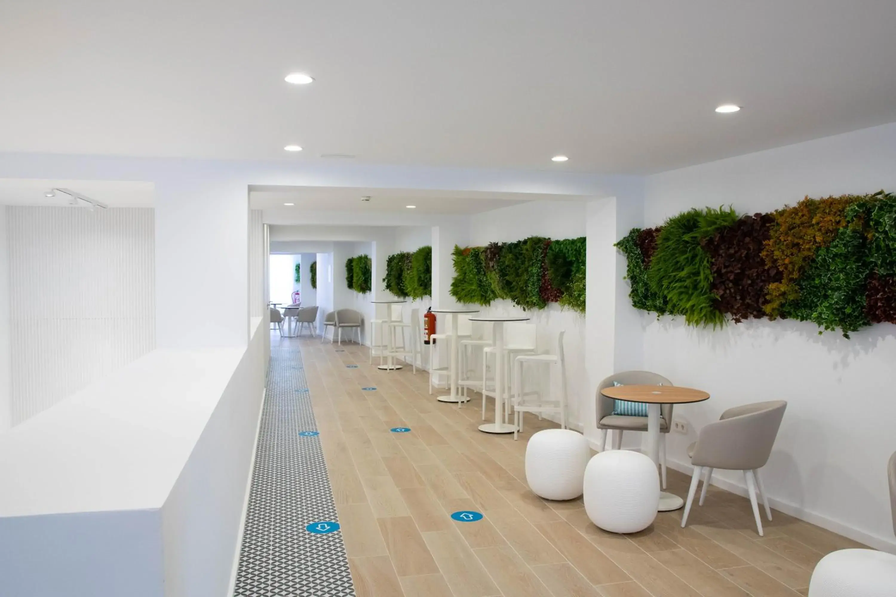 Lounge or bar in BLUESEA Mediodia Lounge or bar in BLUESEA Mediodia