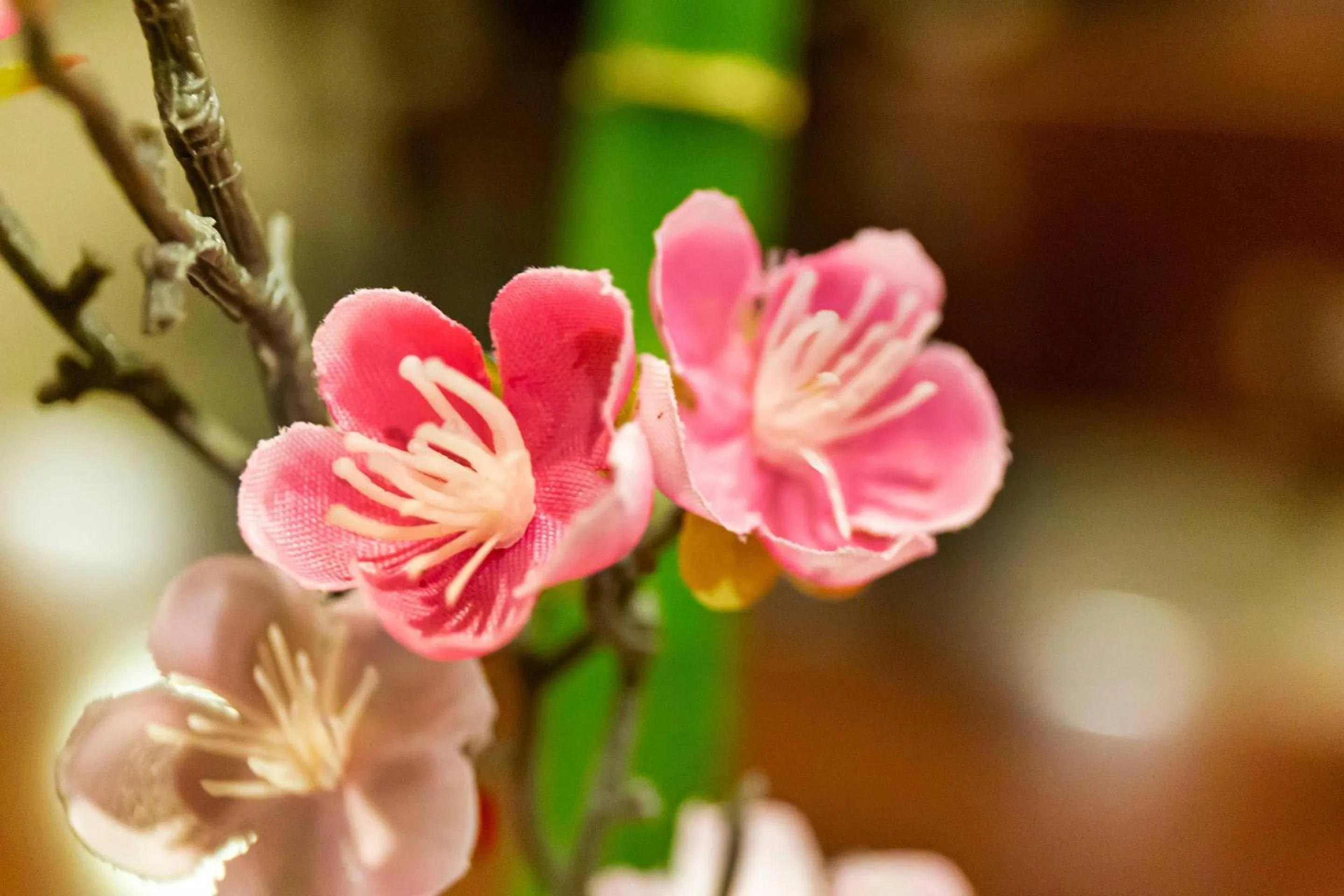 Other in Radisson Hotel Southfield-Detroit