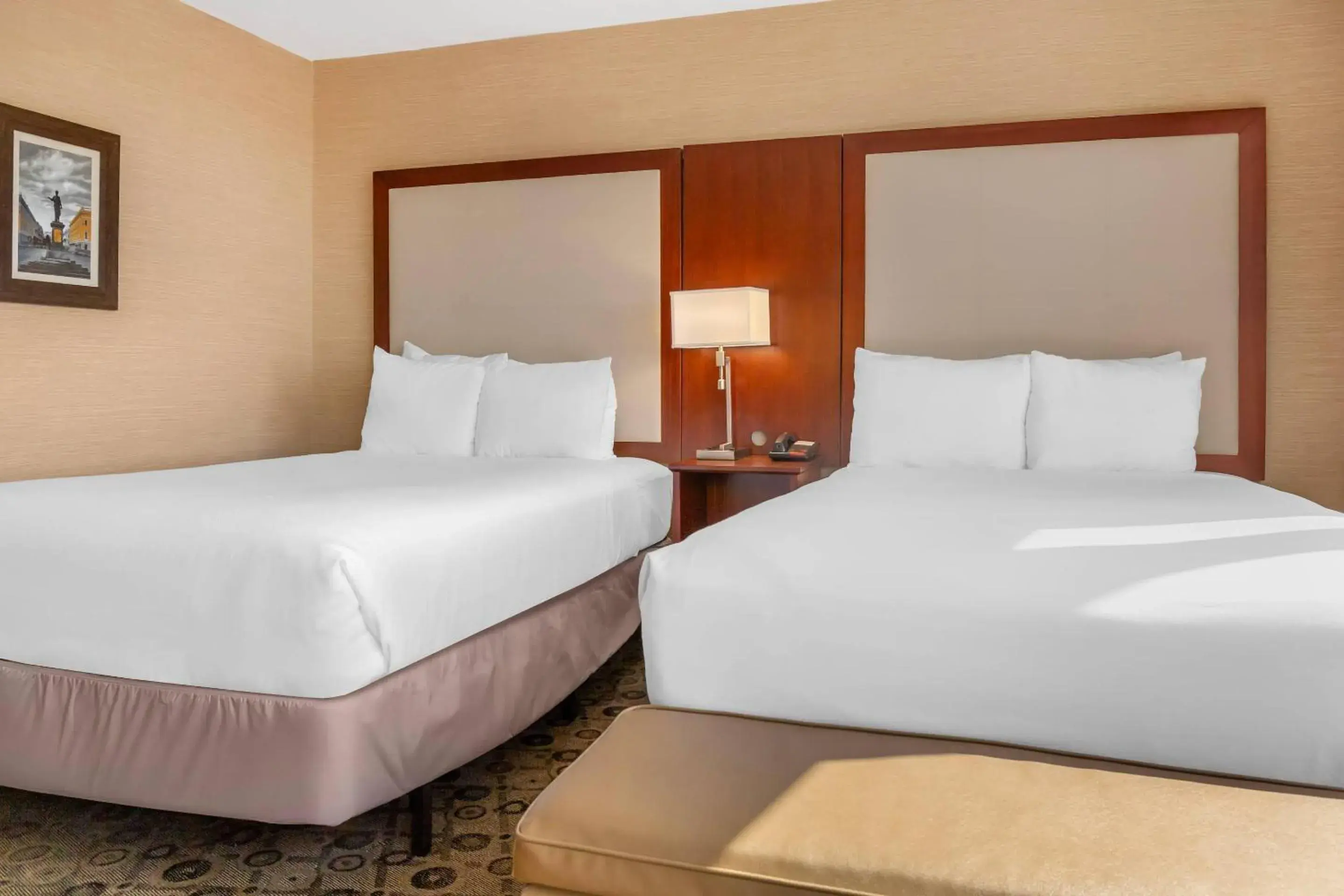 Bedroom, Bed in Radisson Hotel Southfield-Detroit Bedroom, Bed in Radisson Hotel Southfield-Detroit