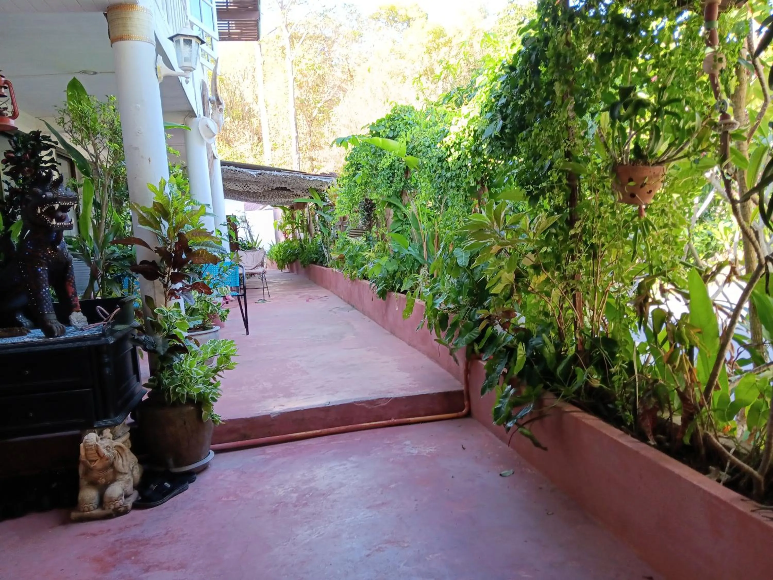 Garden in Baan sikhao Yanui