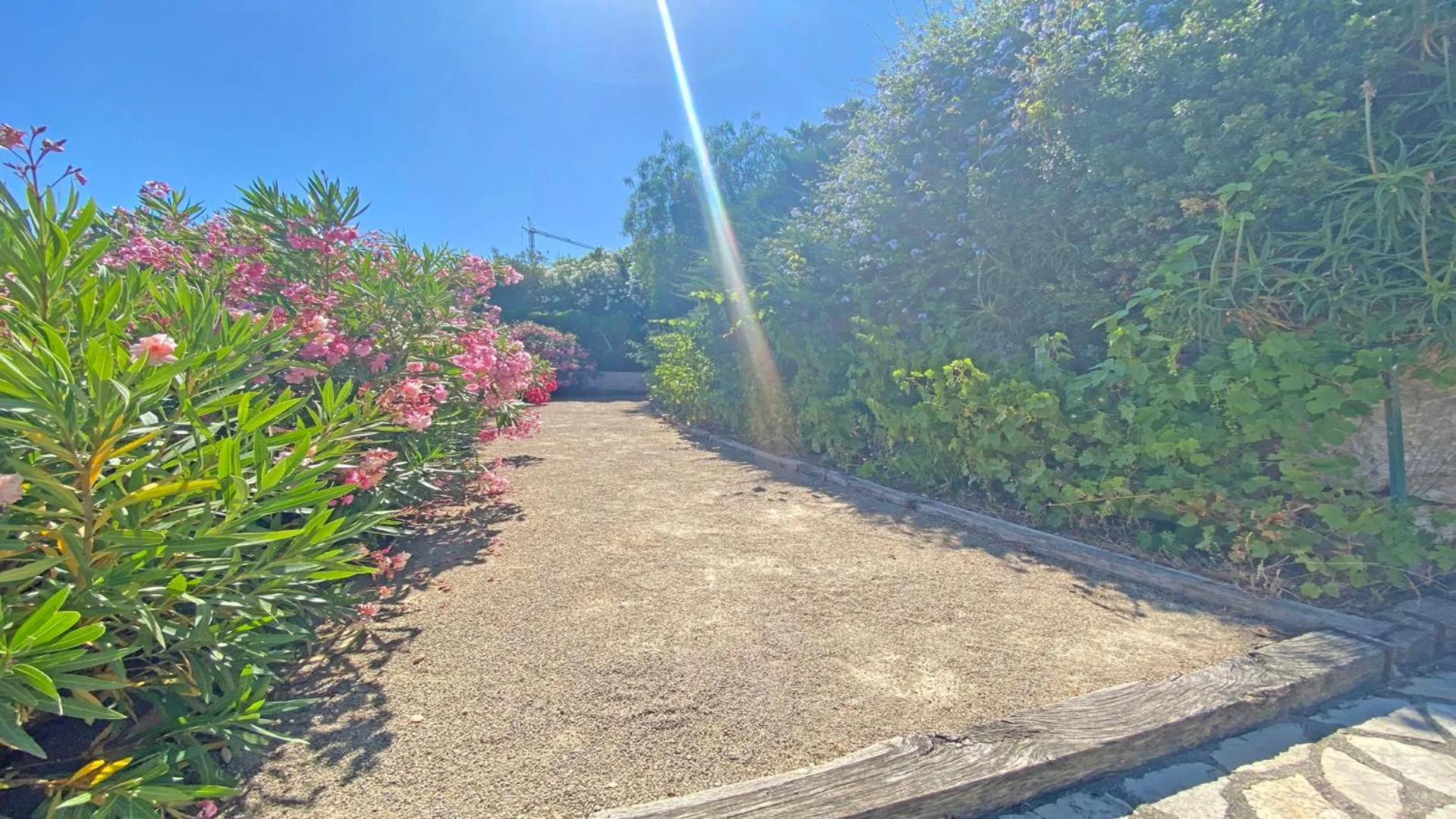 Garden in Villa Lisuzem