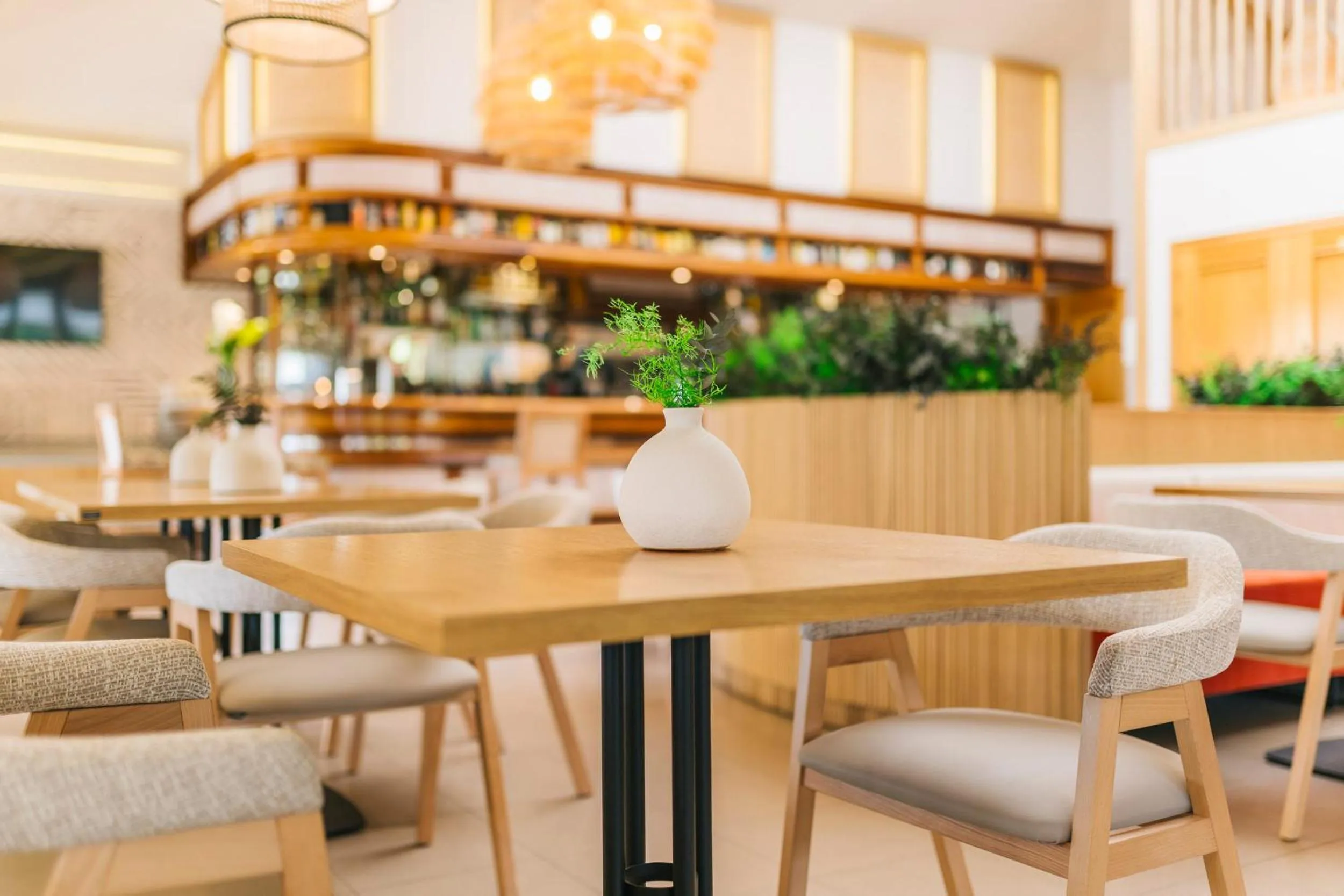 Lounge or bar in Miracielos