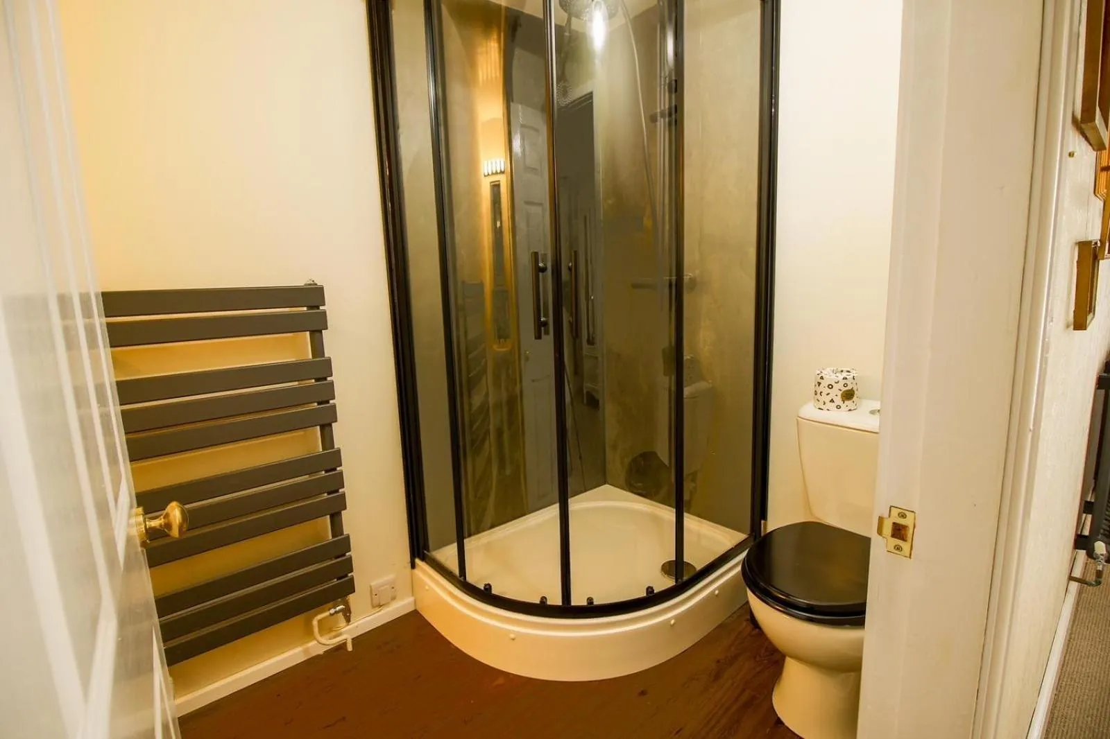 Shower in Plas Dolguog