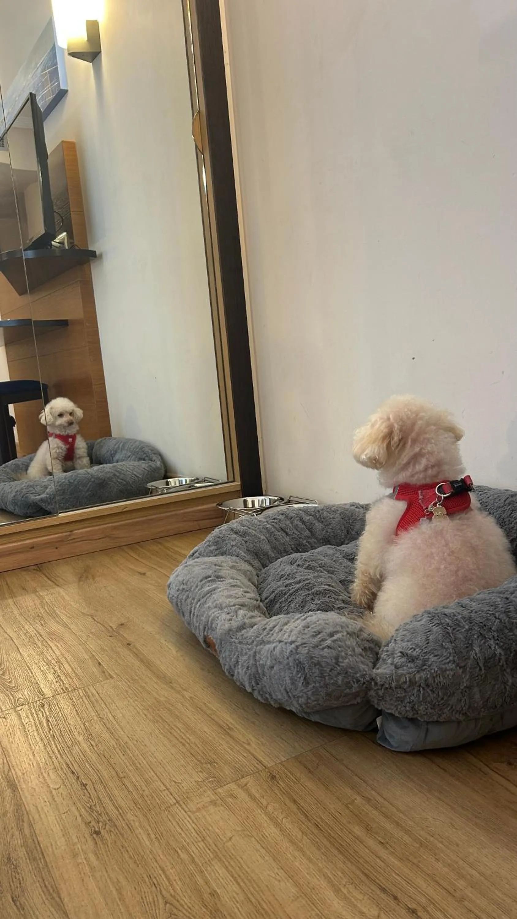 Hotel Bonalba Alicante