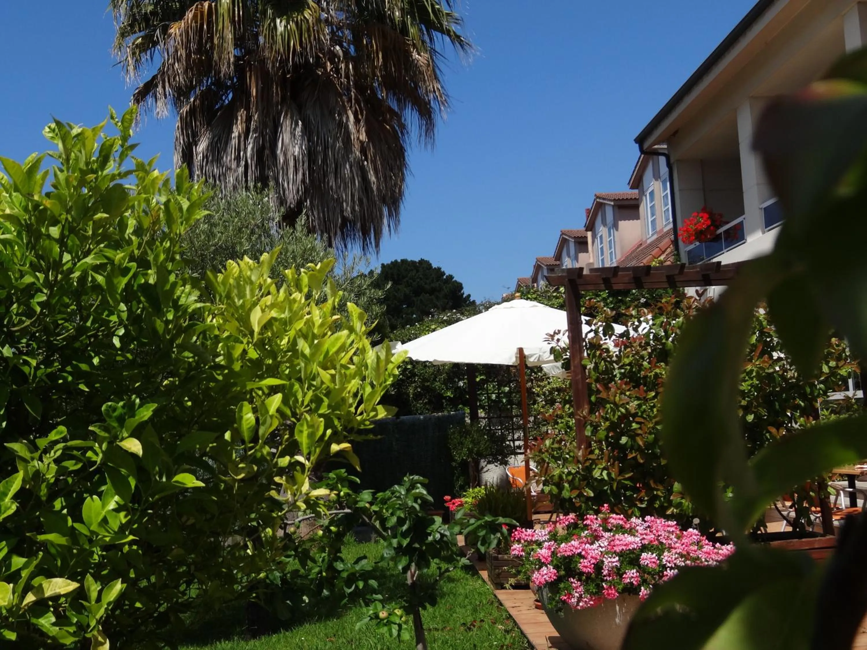 Garden in Hotel El Pescador