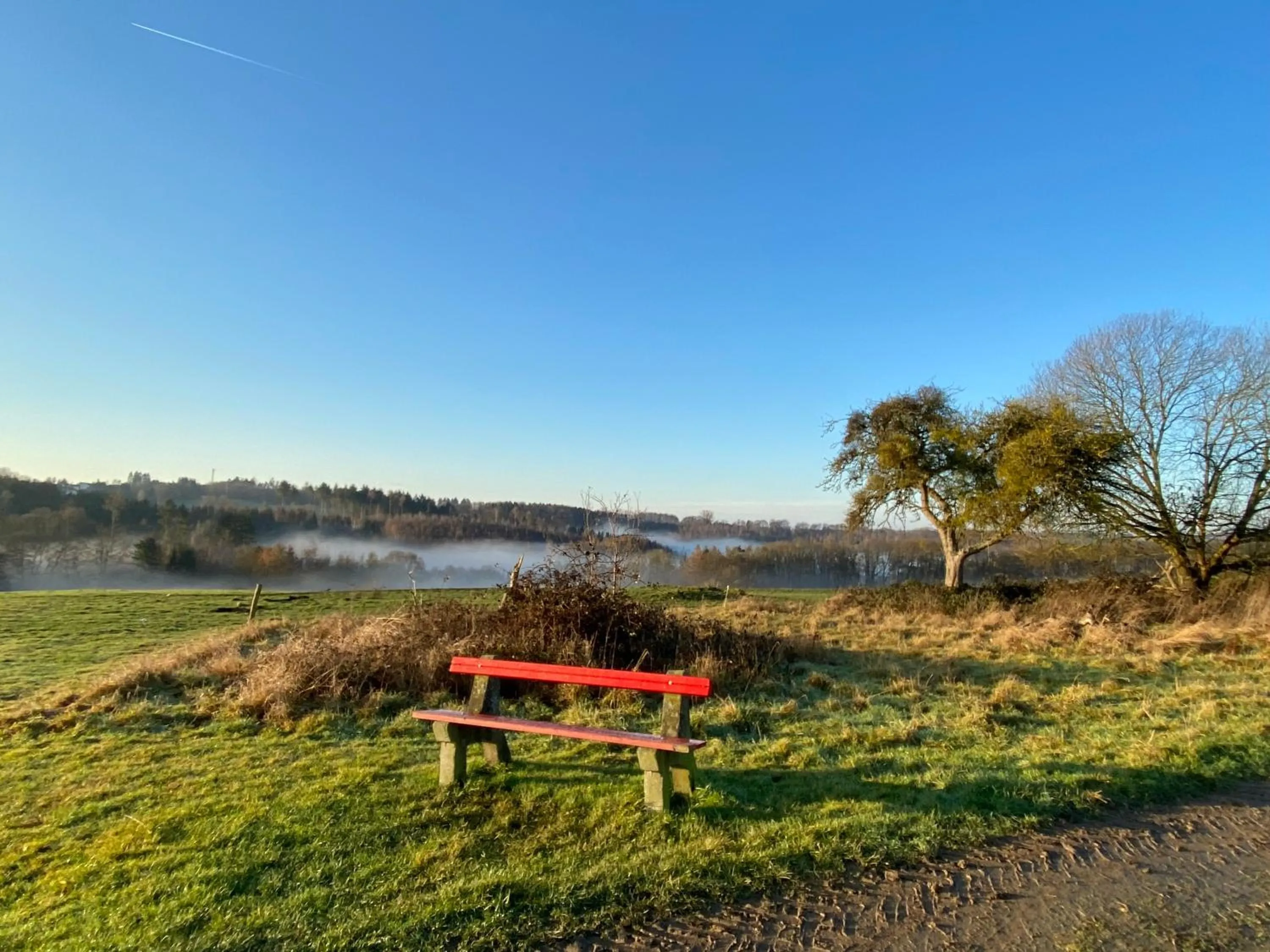 Natural landscape in Haus Maria Isenburg - Naturpark Rhein-Westerwald