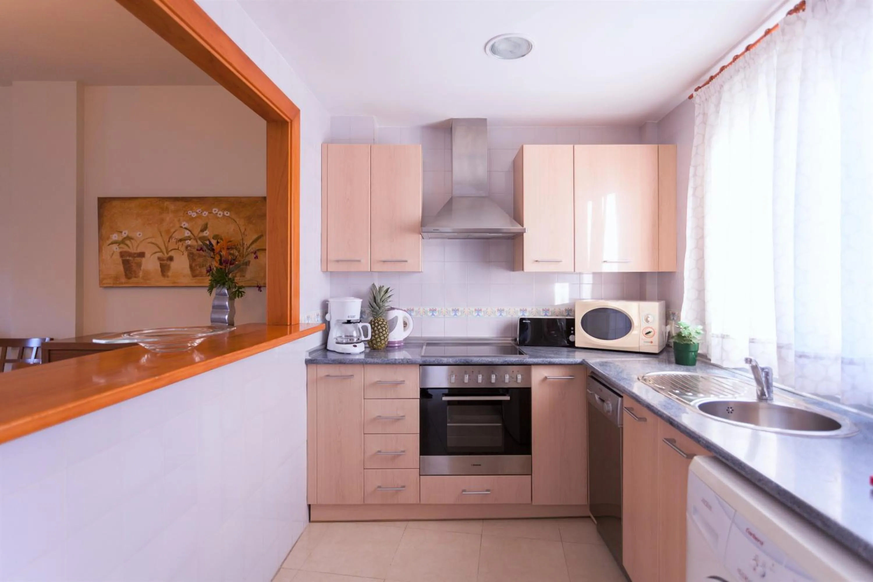 Kitchen or kitchenette in Apartamentos Marina Turquesa