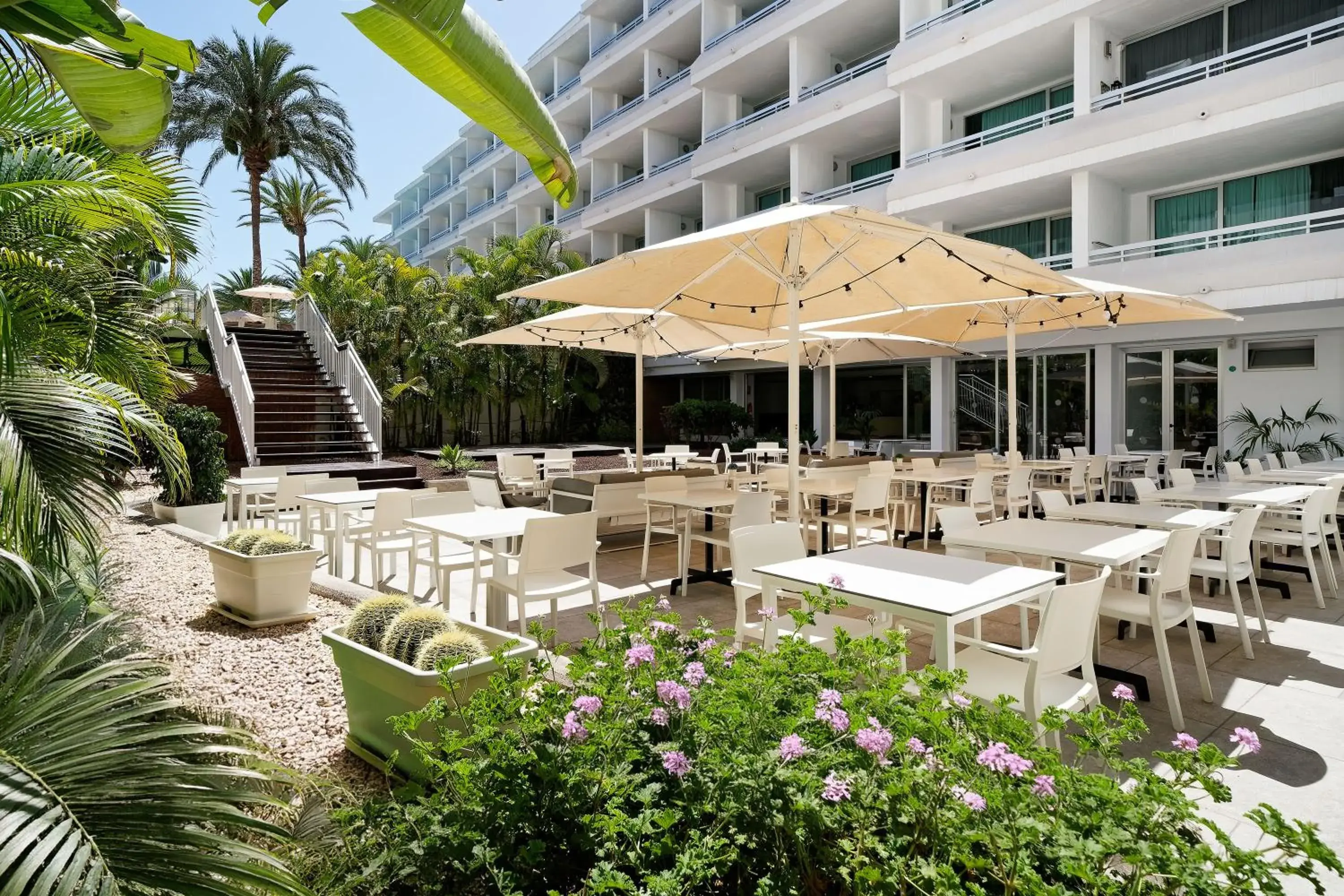 Restaurant/places to eat in Akeah Broncemar Restaurant/places to eat in Akeah Broncemar