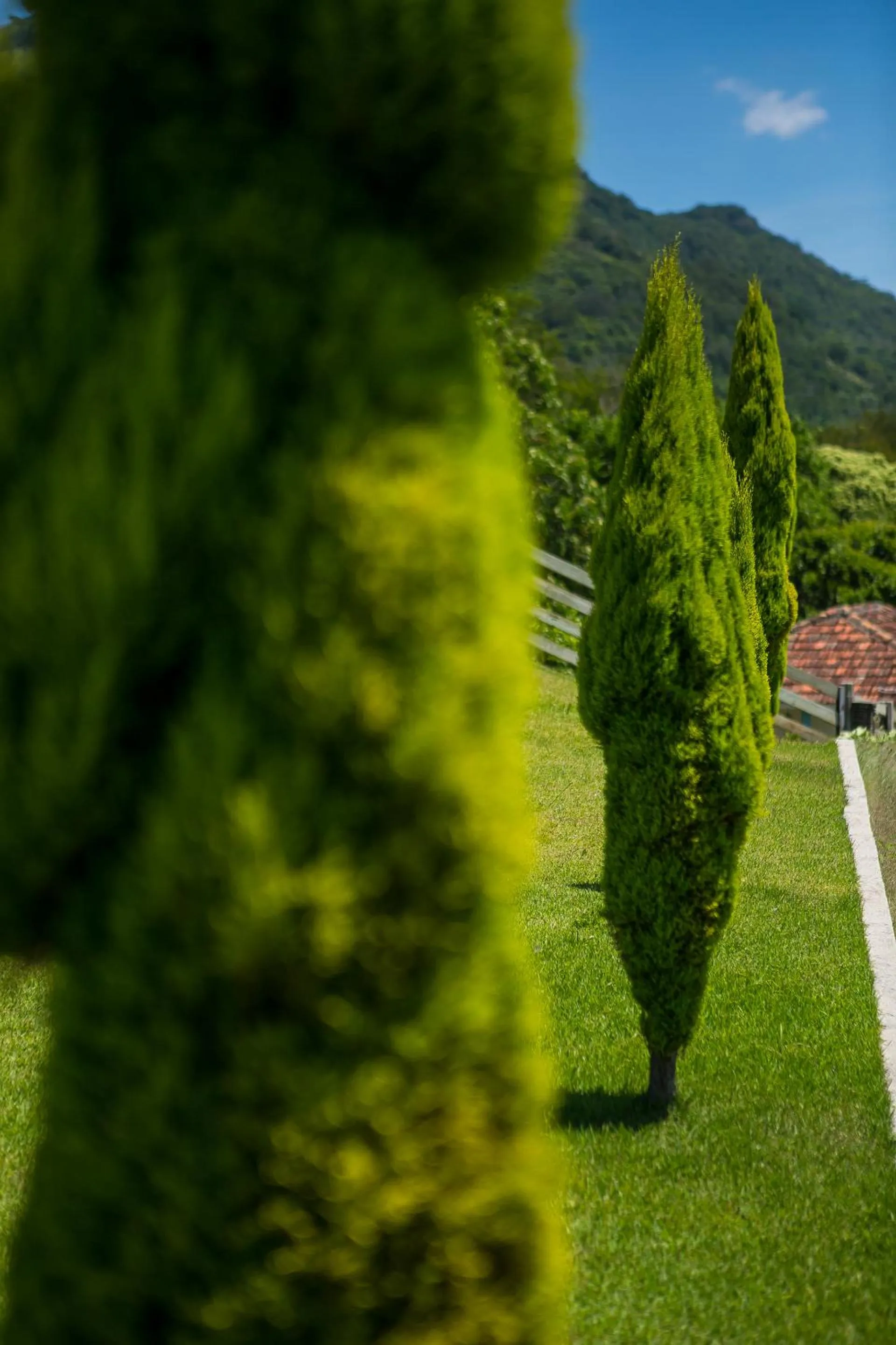 Spring in Eco Mirante Hotel