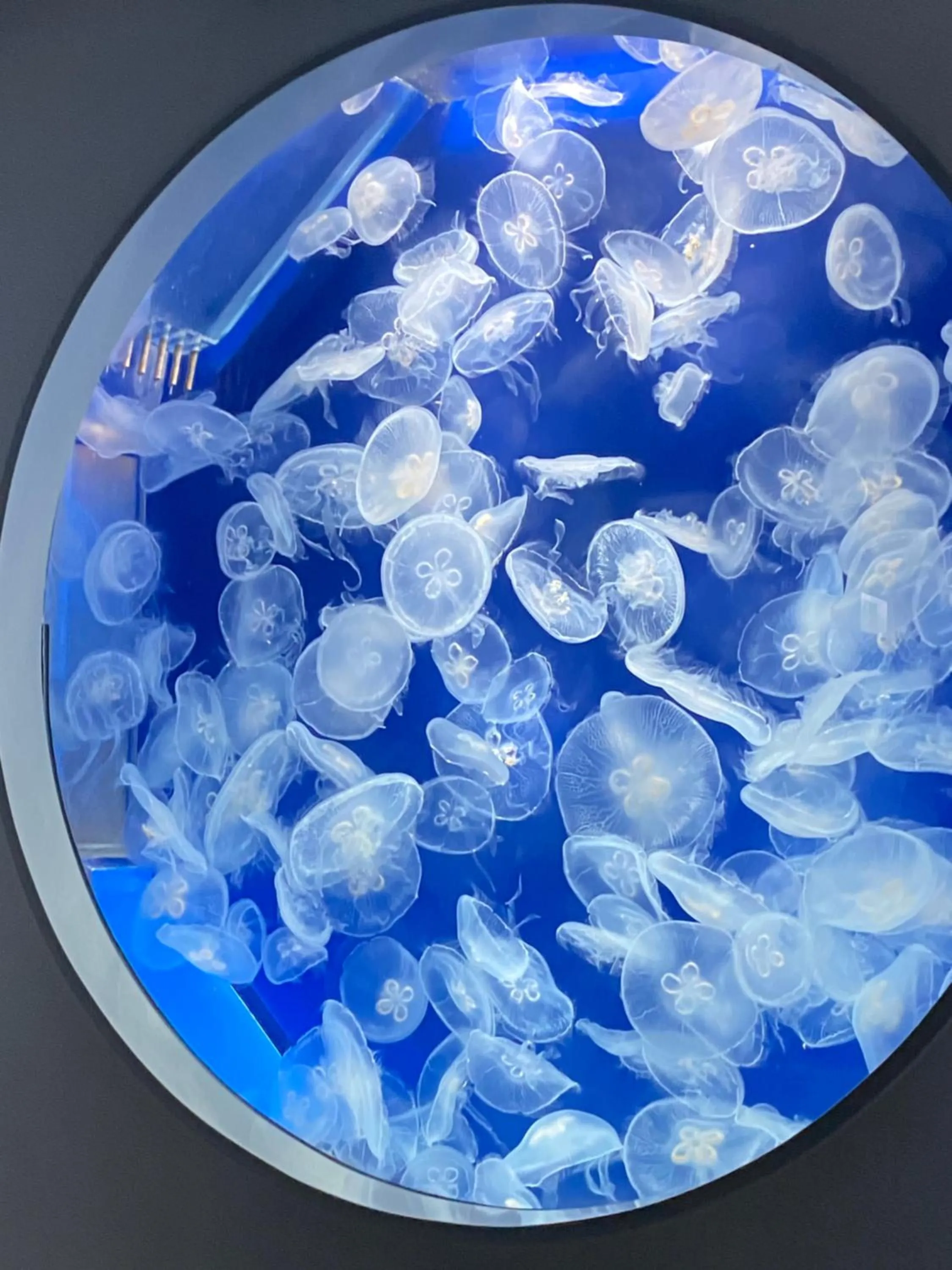 Nearby landmark in alfar Hotel