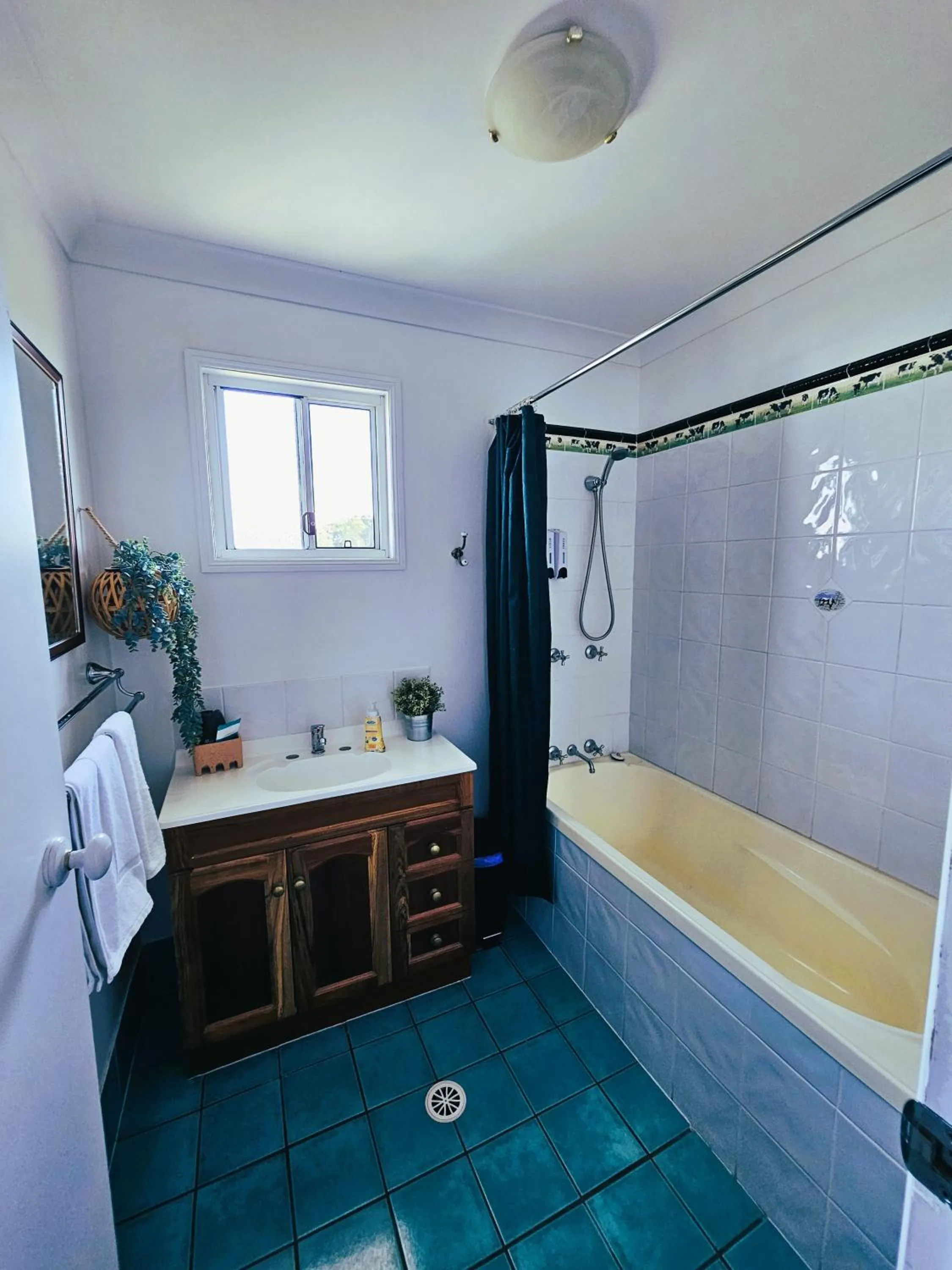 Shower in Kilcoy Motel