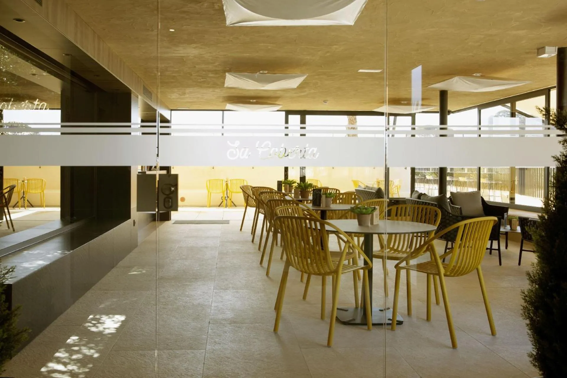 Swimming pool in Hotel Delfín 4 Sup