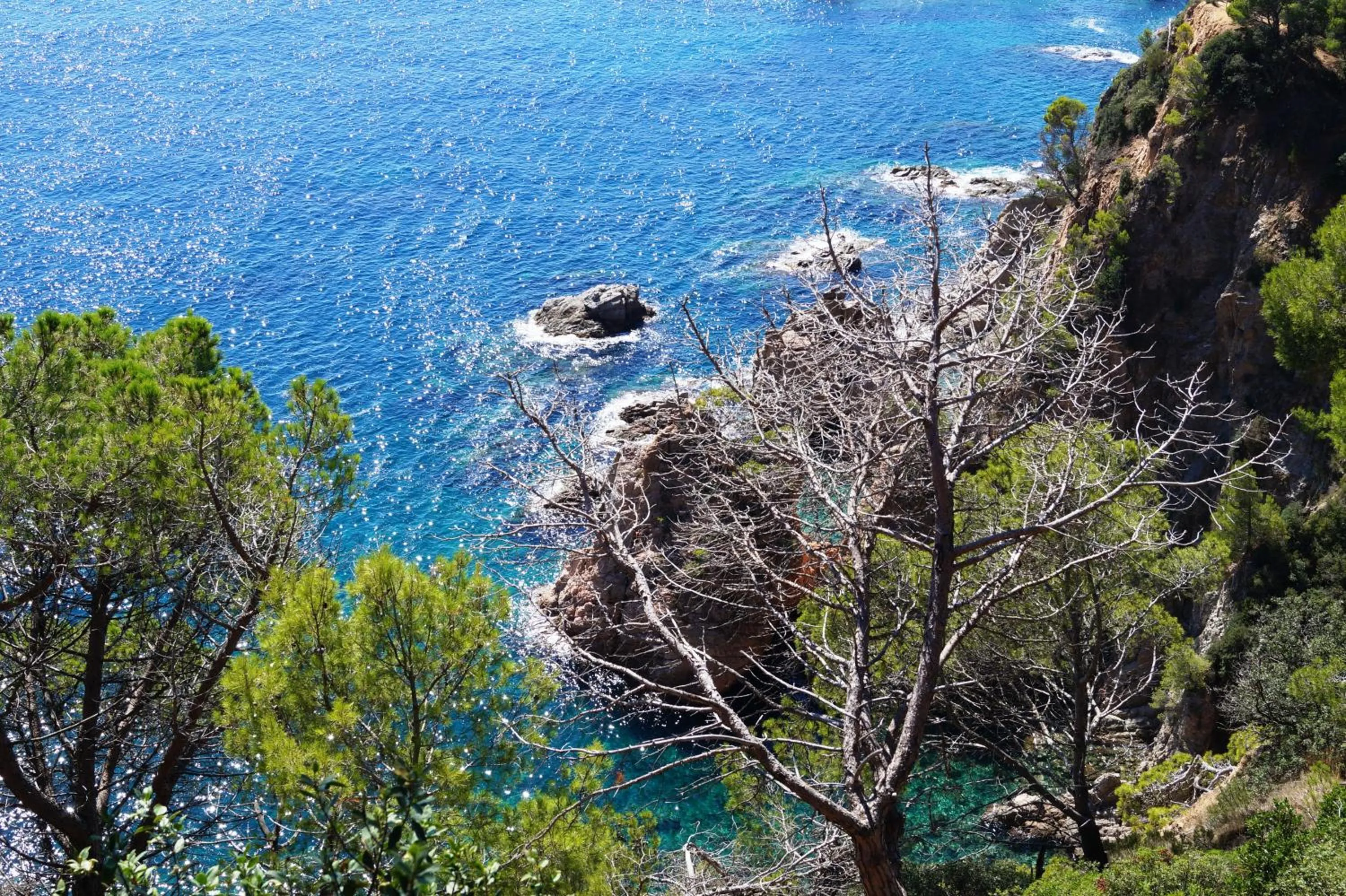 Beach in Hotel Delfín 4 Sup