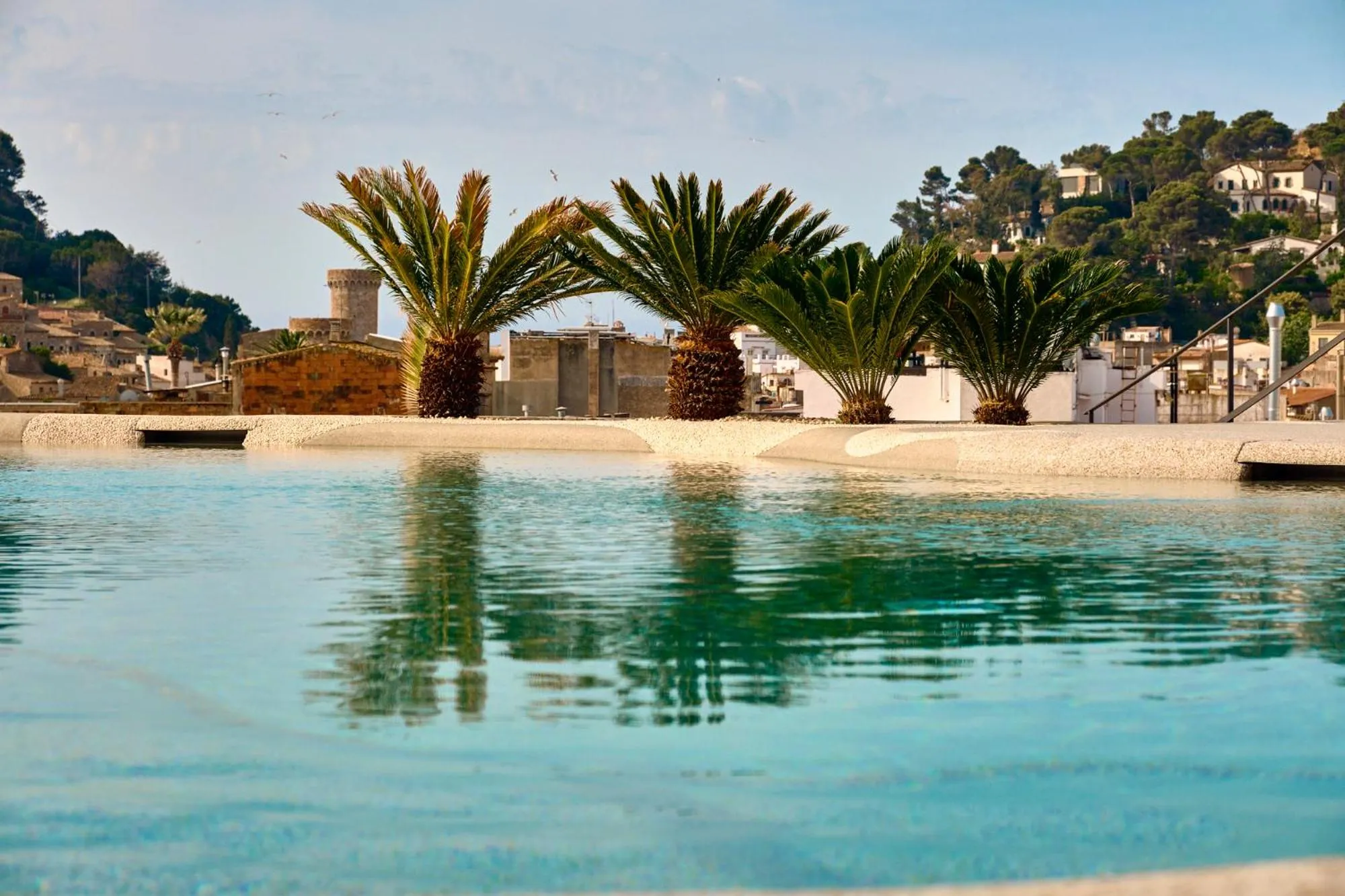 Swimming pool in Hotel Delfín 4 Sup
