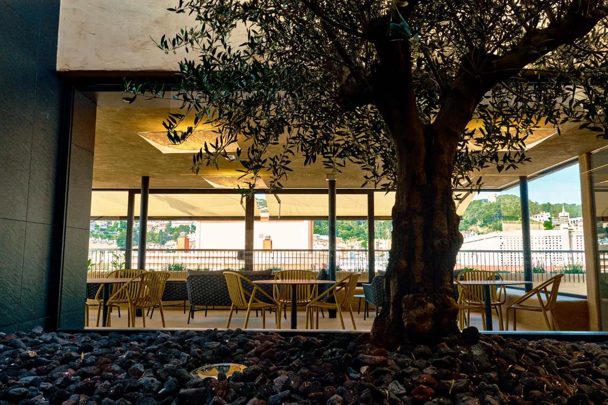 Restaurant/places to eat in Hotel Delfín 4 Sup