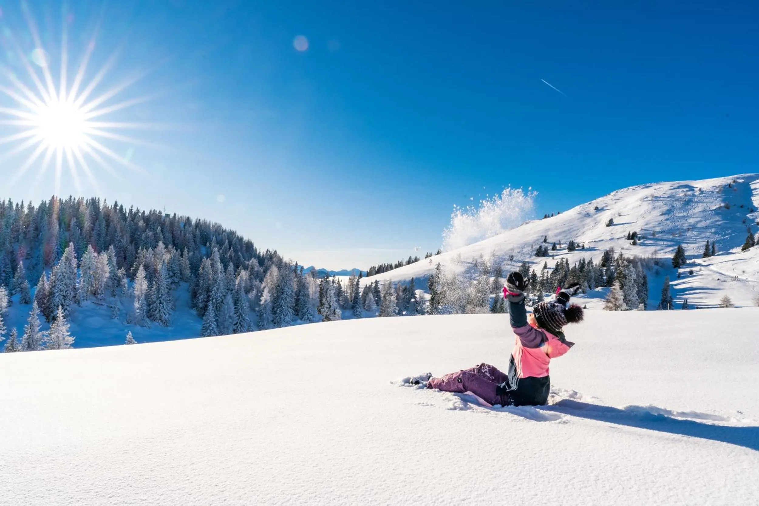 Day in harry's home Villach hotel & apartments