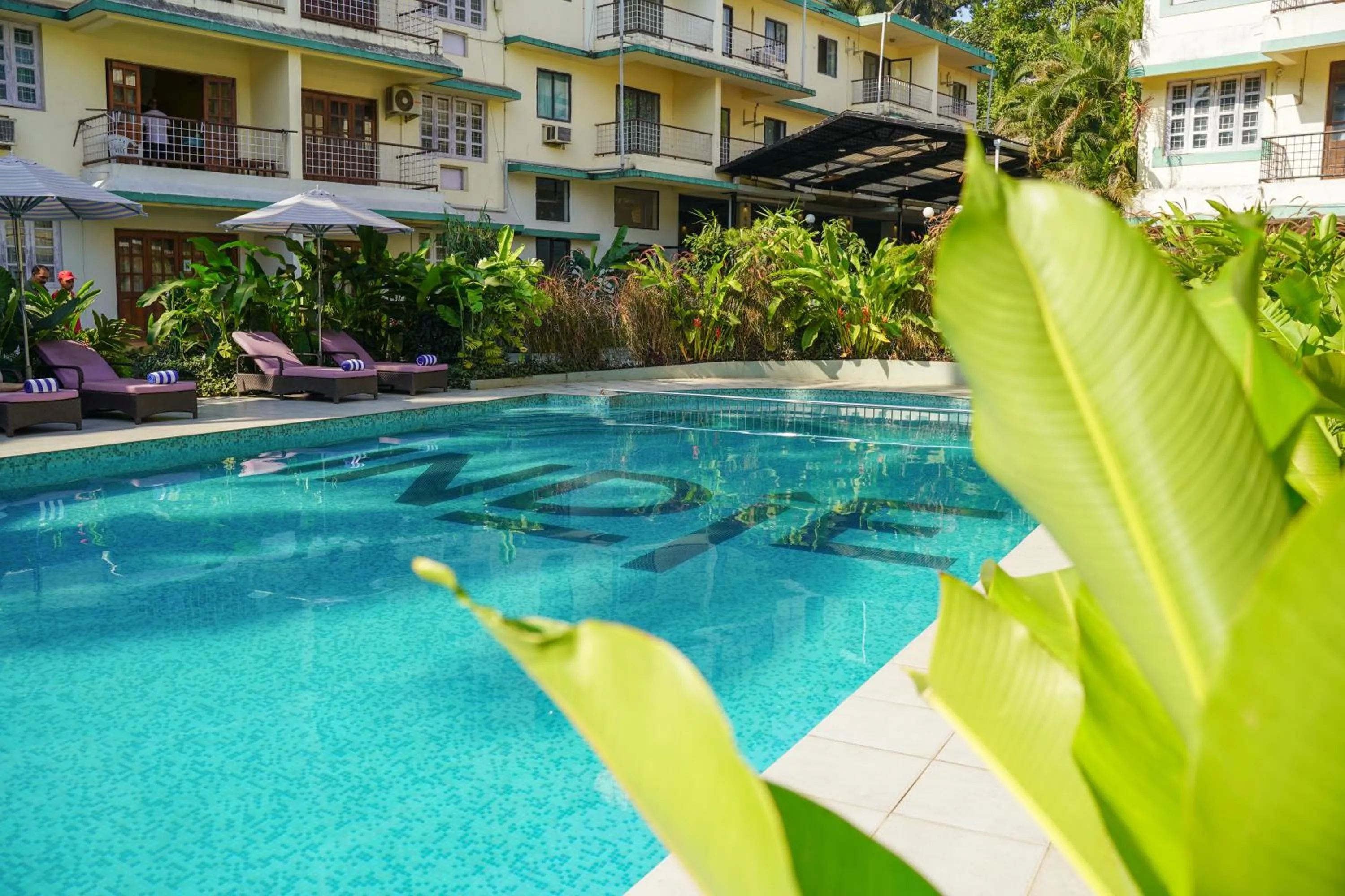 Pool view in Indie Stays Goa