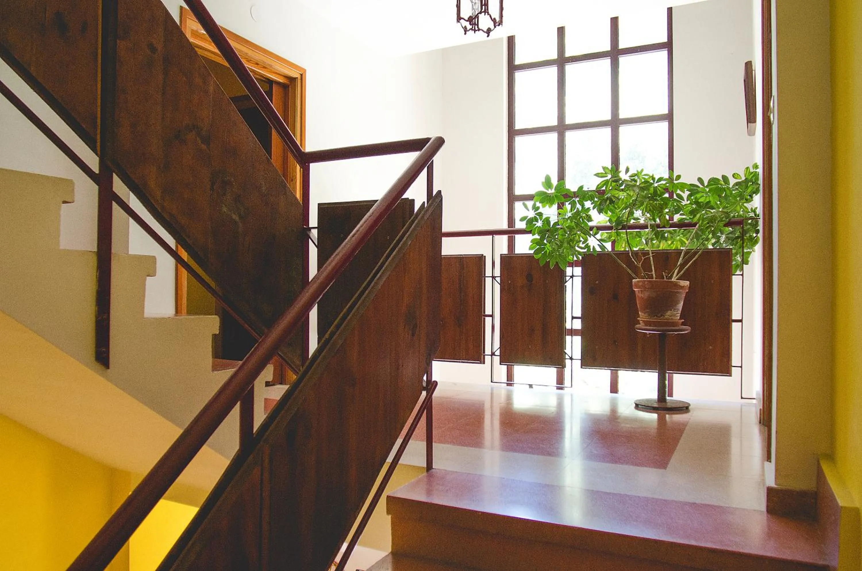 Day in Arcea Mirador de Cabrales