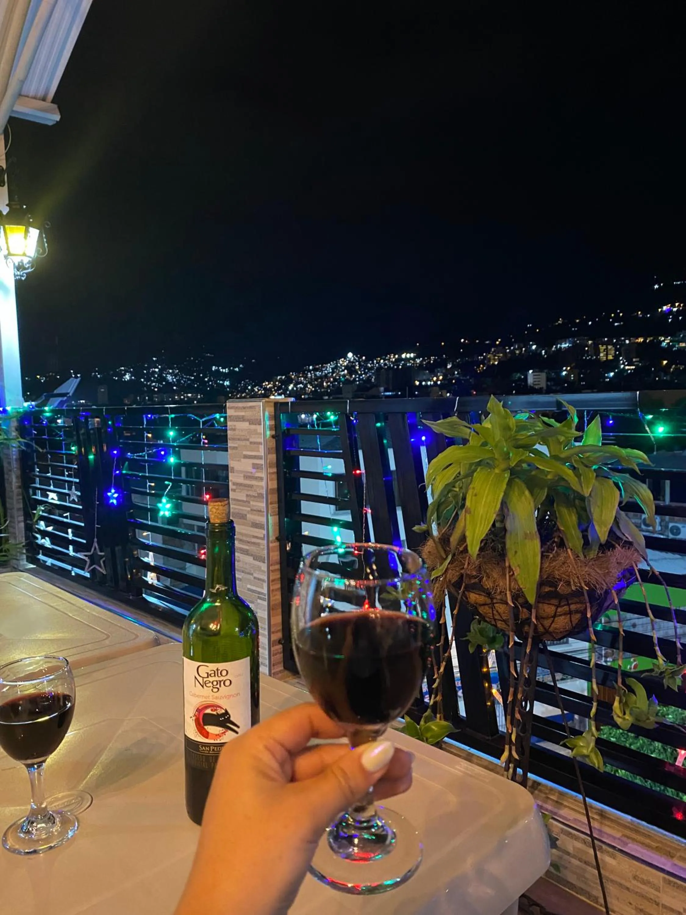 Balcony/Terrace in Hotel Alameda Plaza