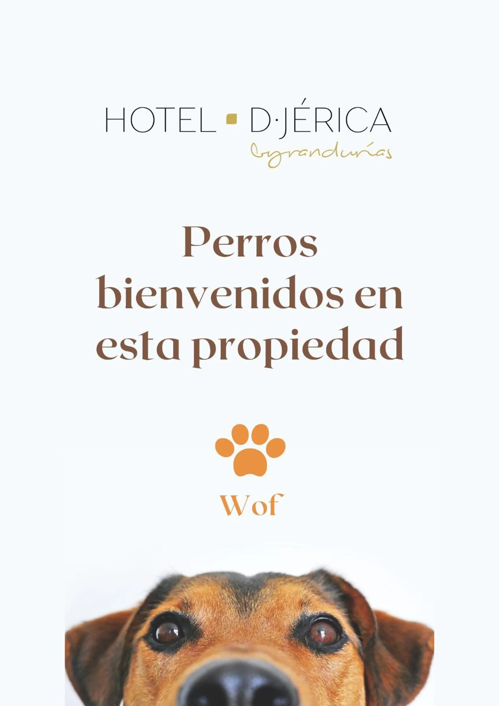 Hotel De Jerica