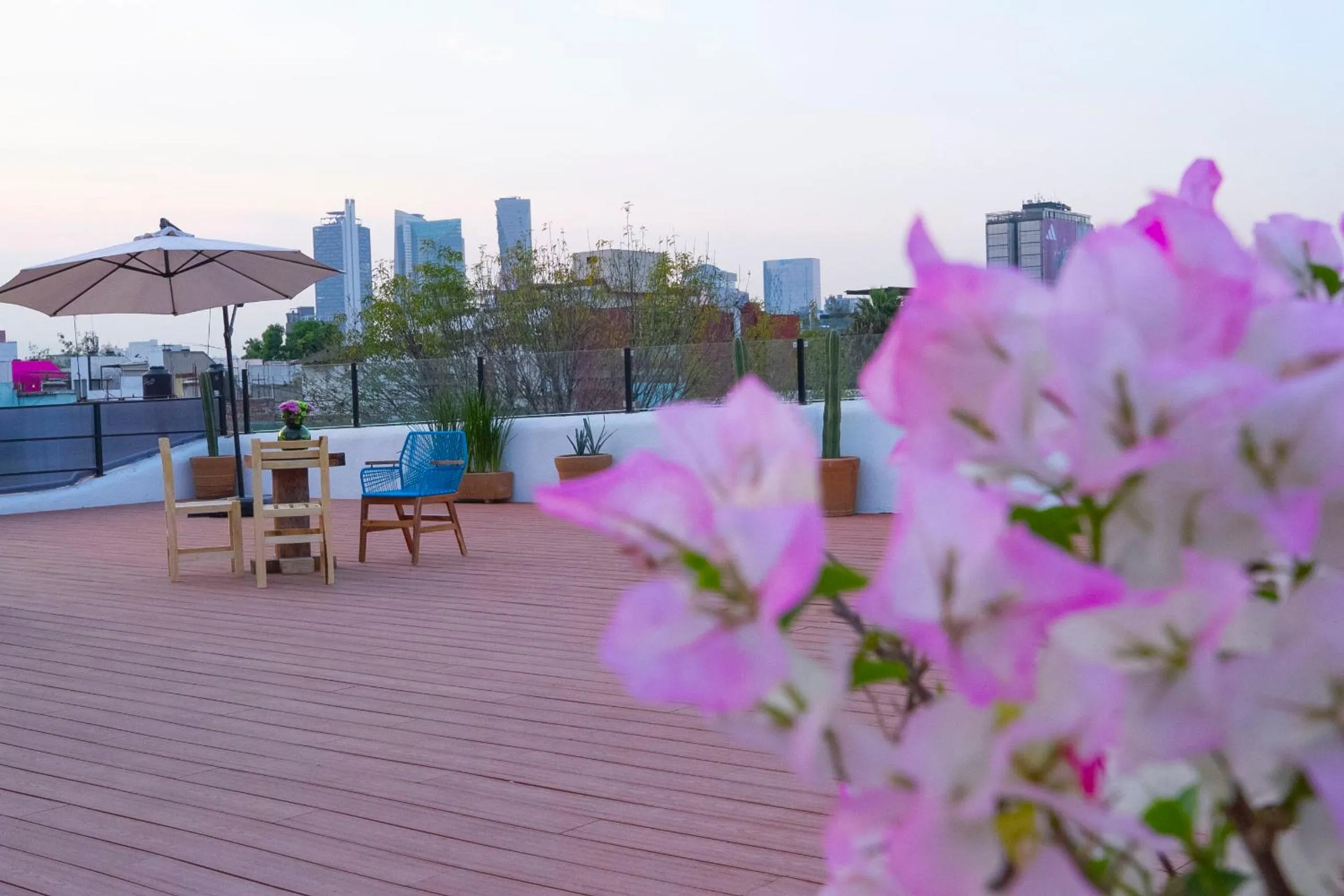 Patio in NaNa Vida CDMX