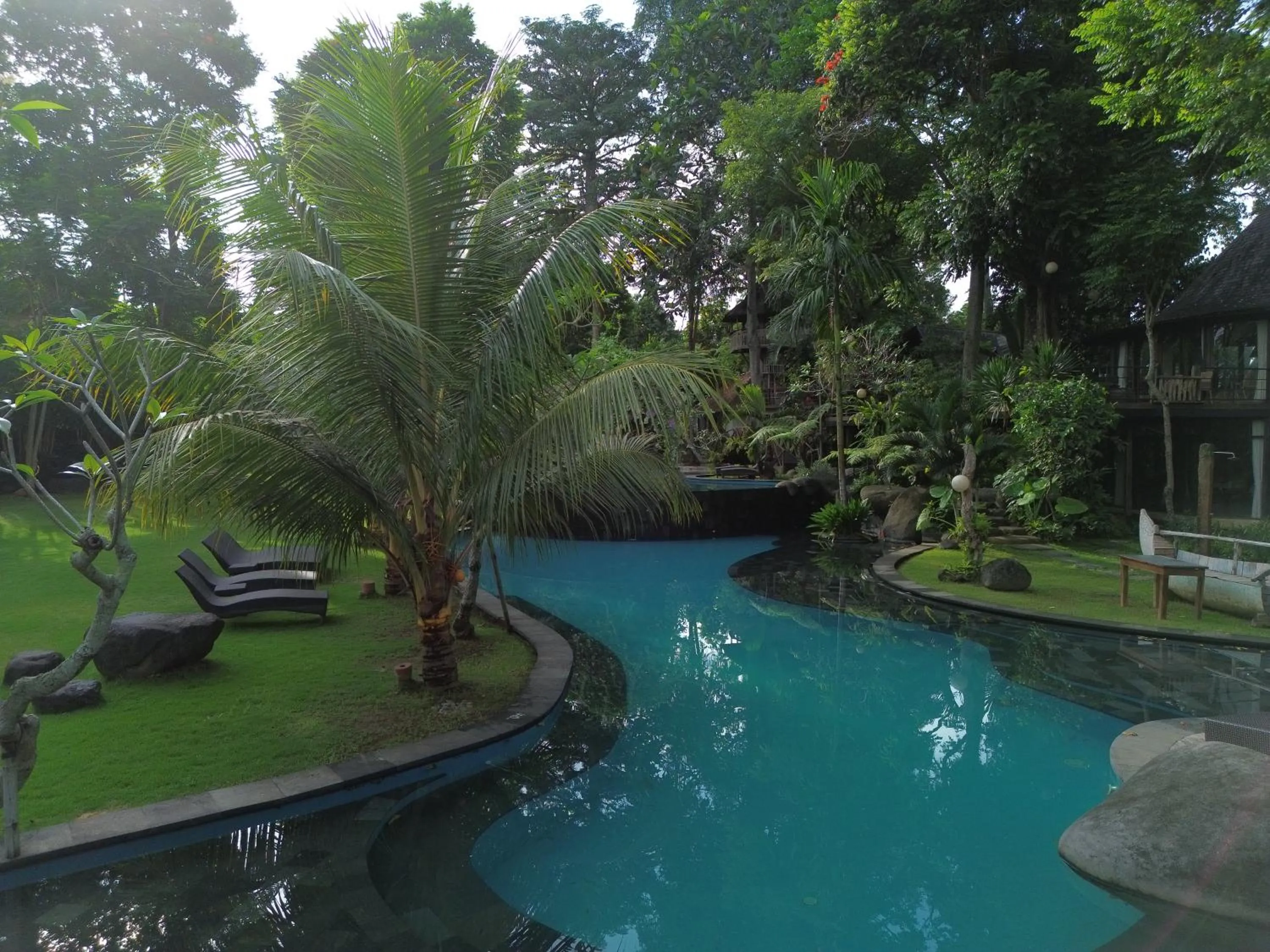 Swimming pool in Green Tree House Villa Ubud