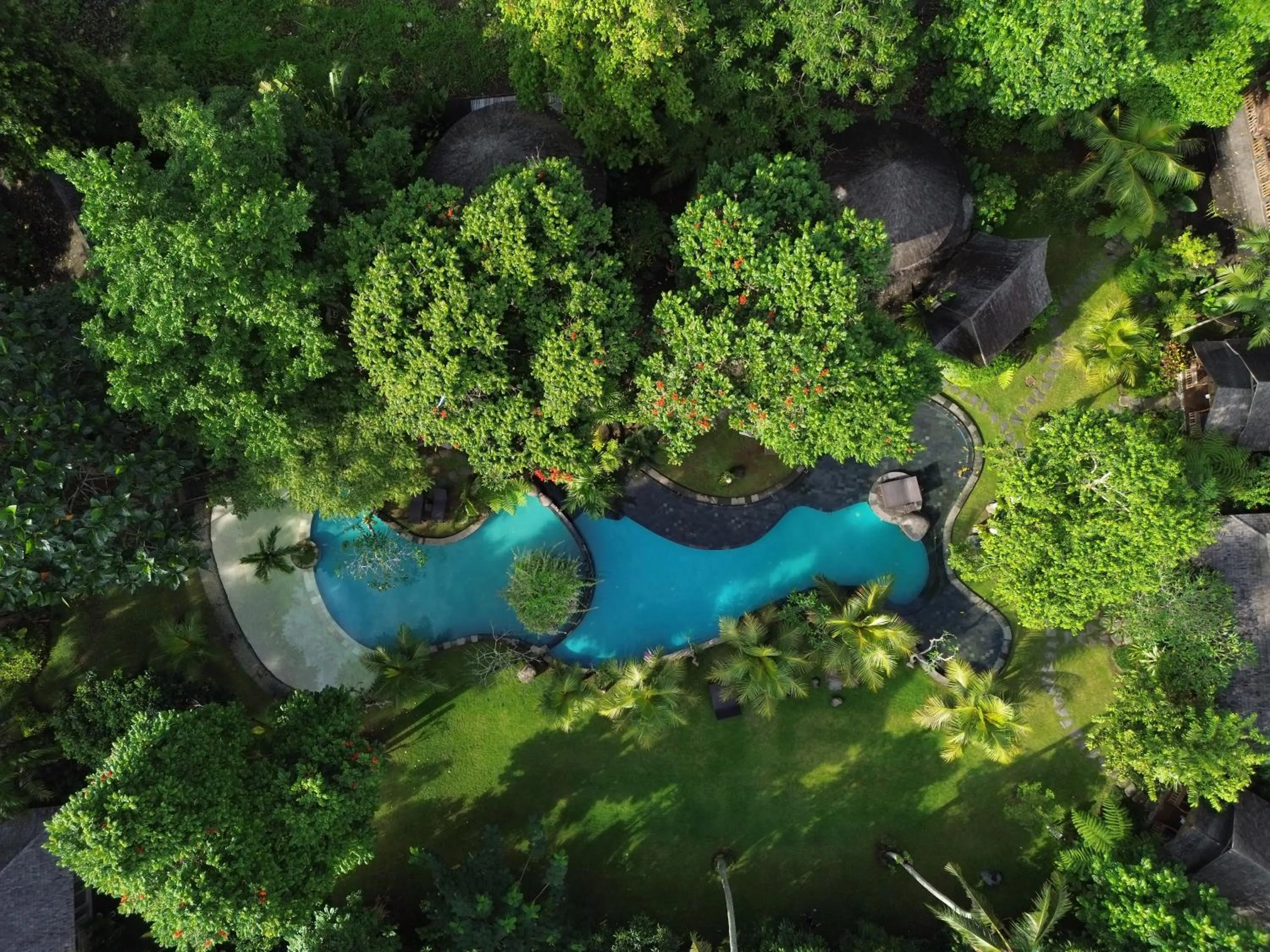Natural landscape in Green Tree House Villa Ubud