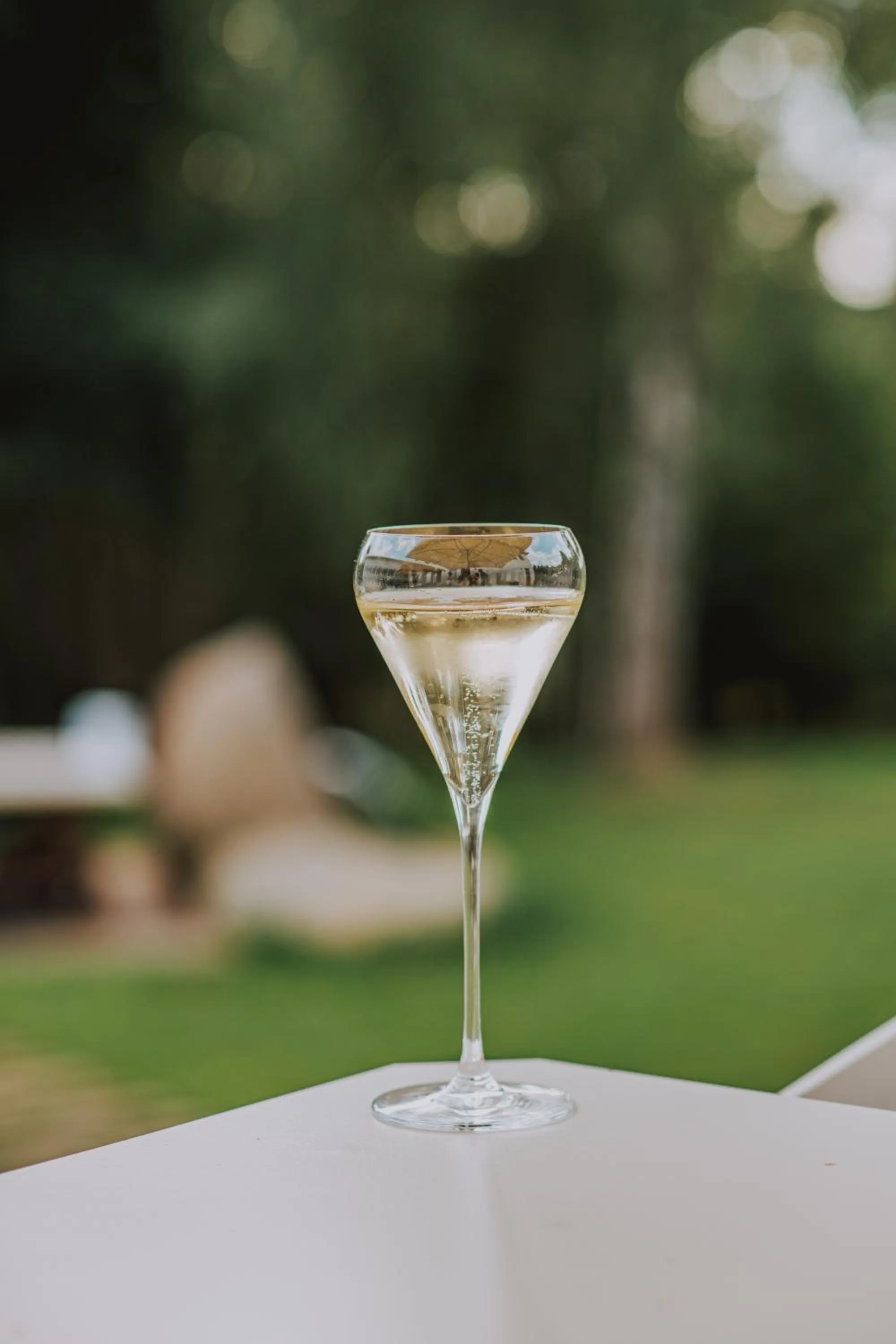 Food and drinks in Resort Český les