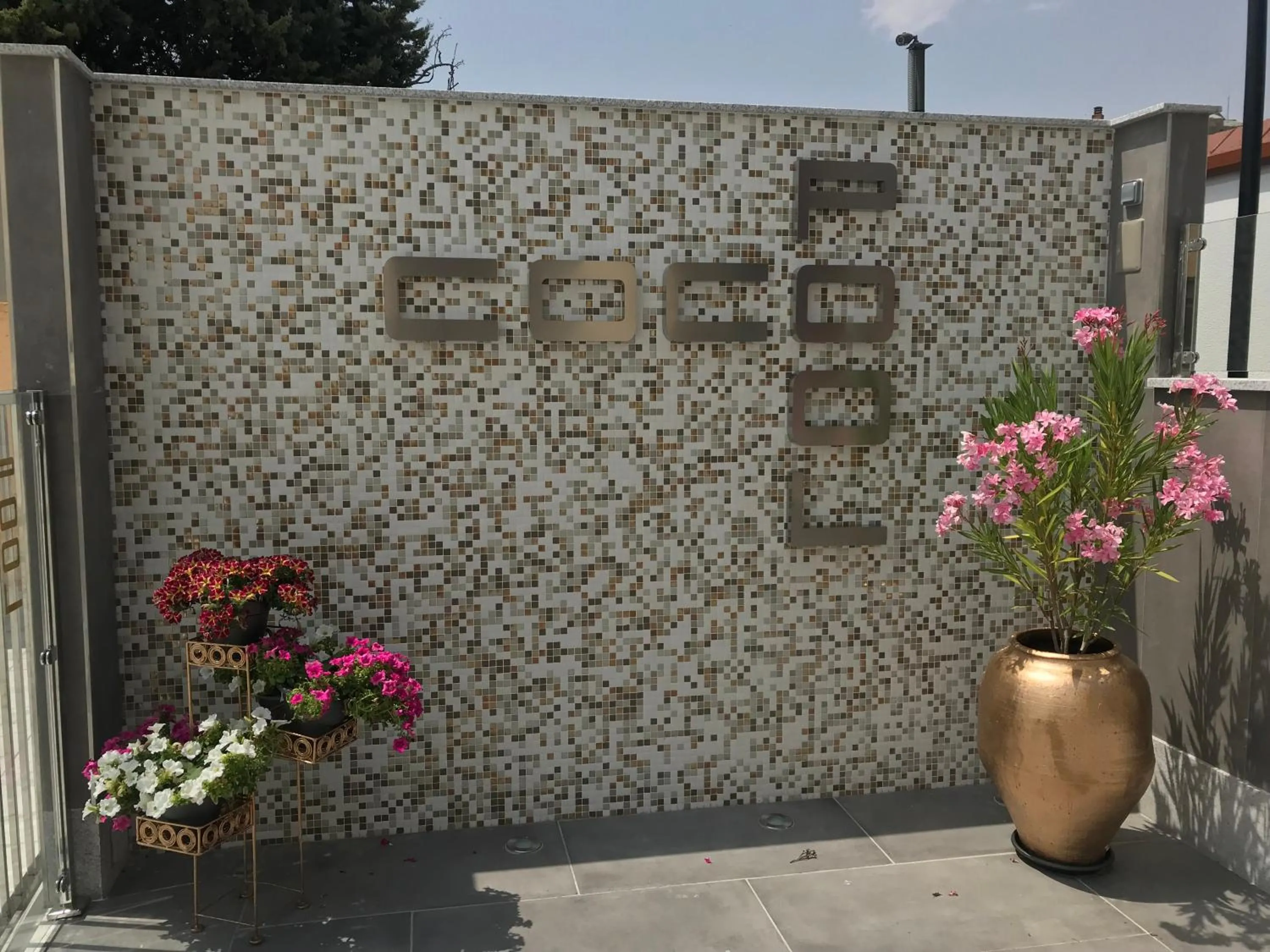 Swimming pool in Hotel Bardo Recoletos Coco