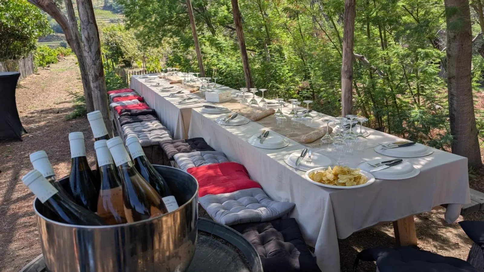 Natural landscape in Intense Boutik-Hôtel