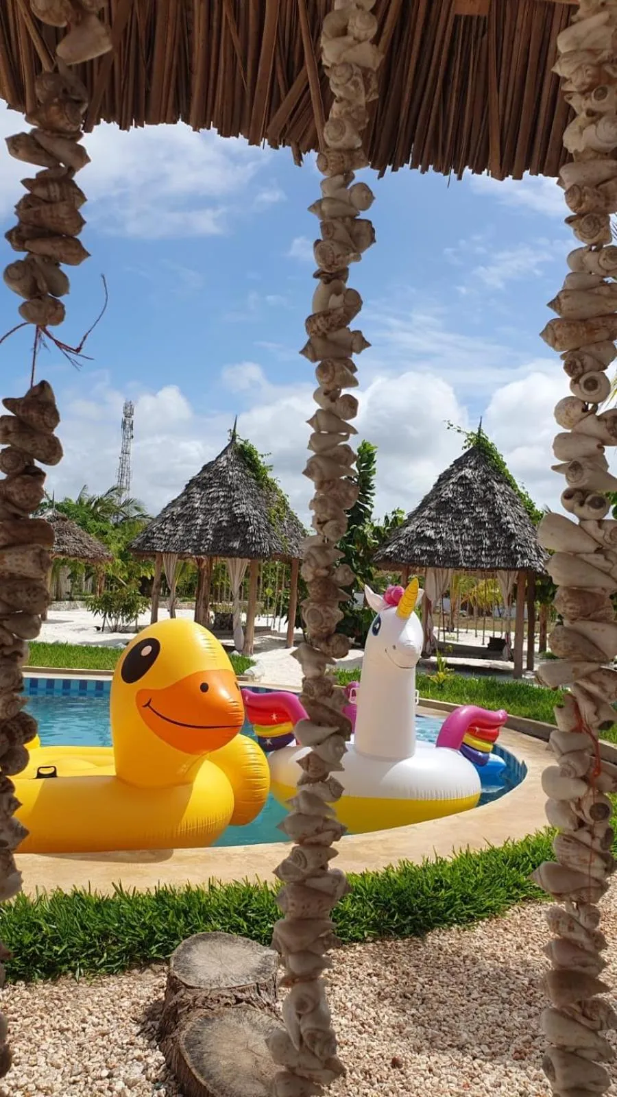 Swimming pool in Haber Hotel & SPA