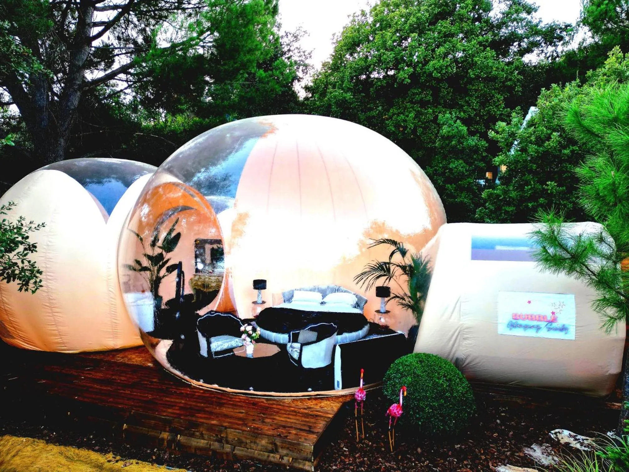 Photo of the whole room in Bubble Glamping Sicily
