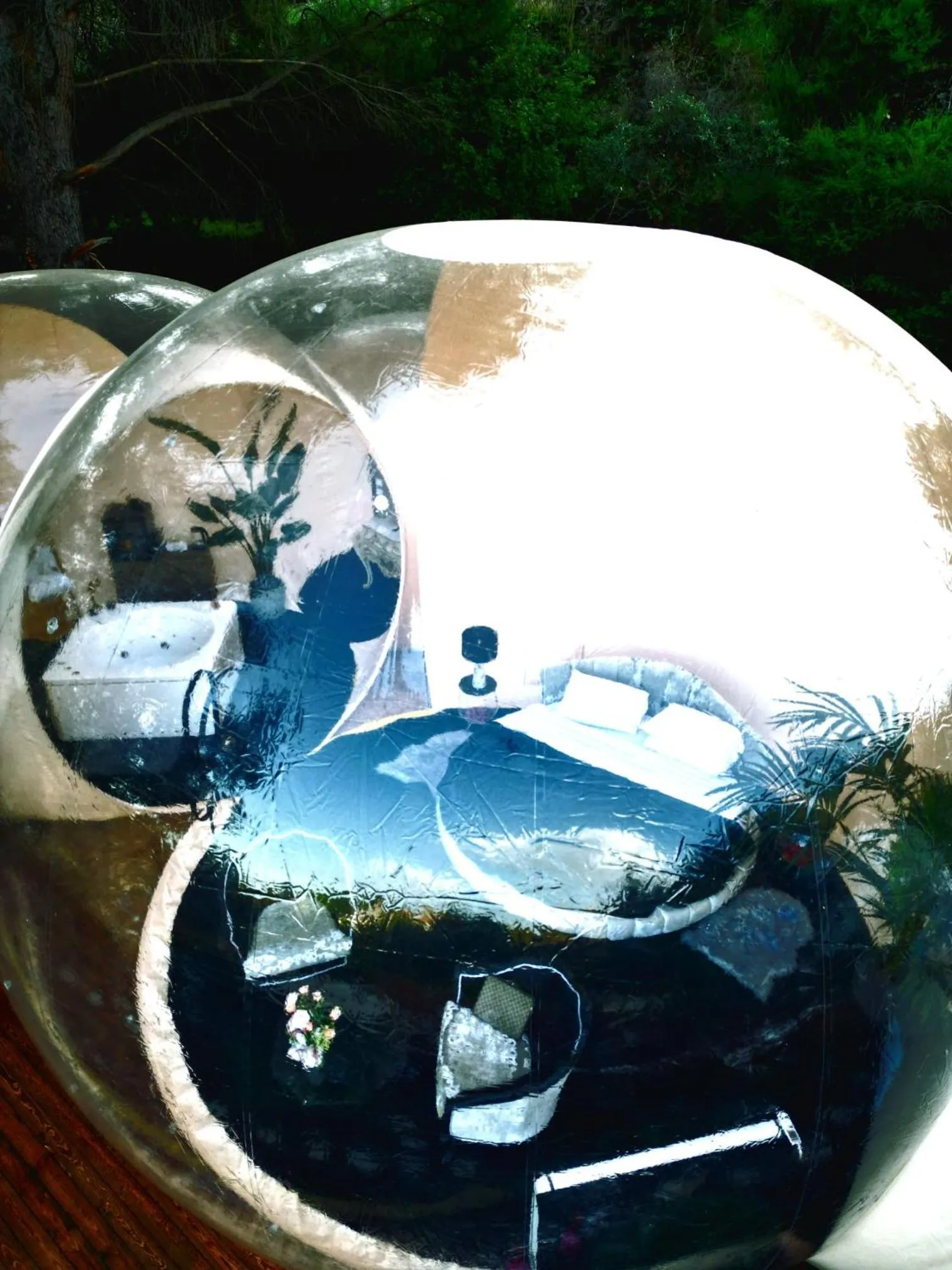 Photo of the whole room in Bubble Glamping Sicily