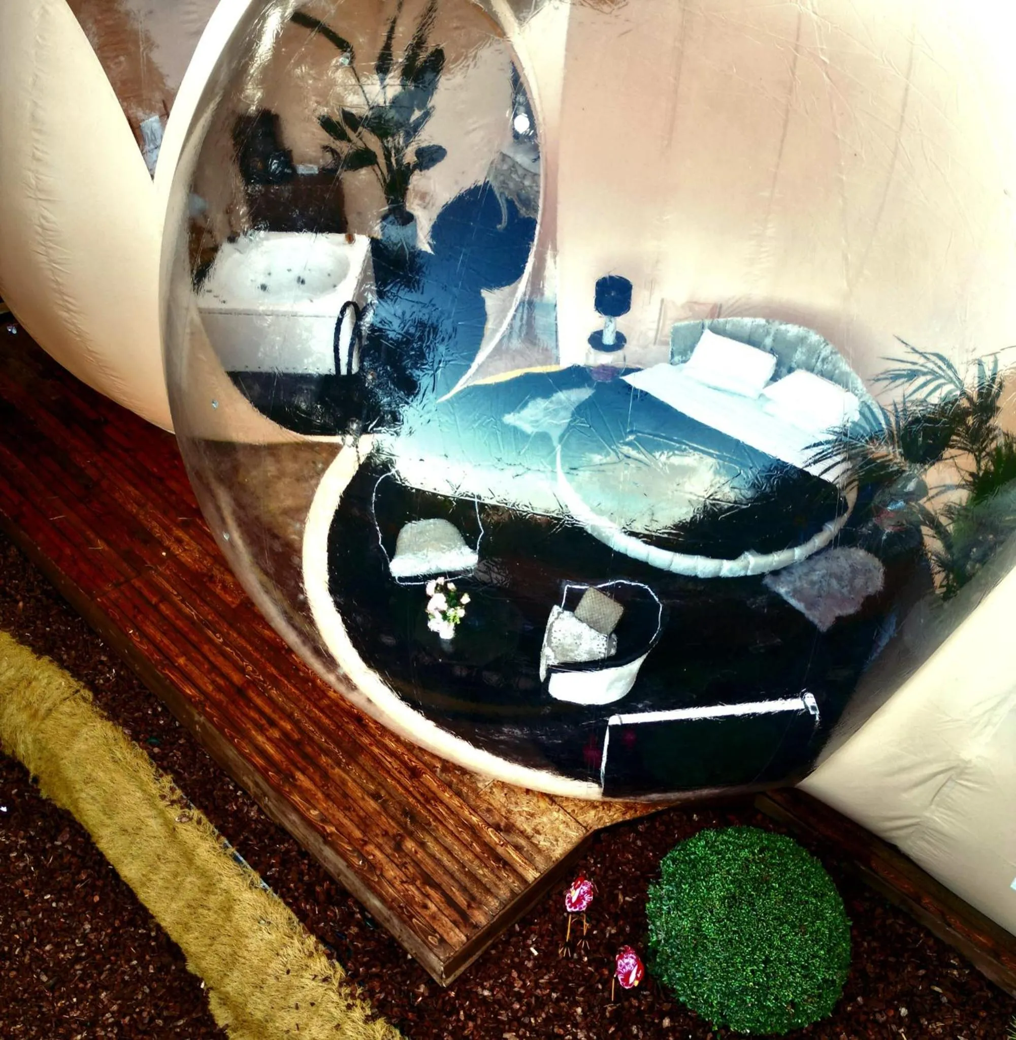 Photo of the whole room in Bubble Glamping Sicily