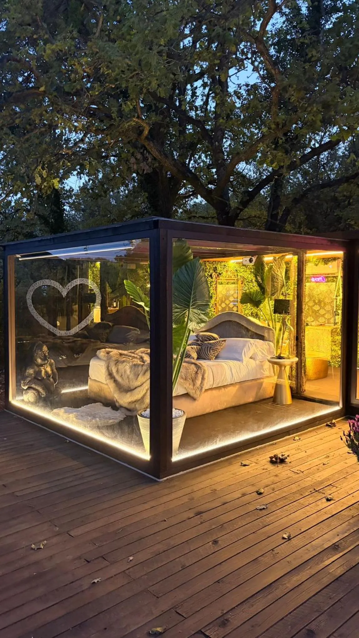 Photo of the whole room, Bed in Bubble Glamping Sicily