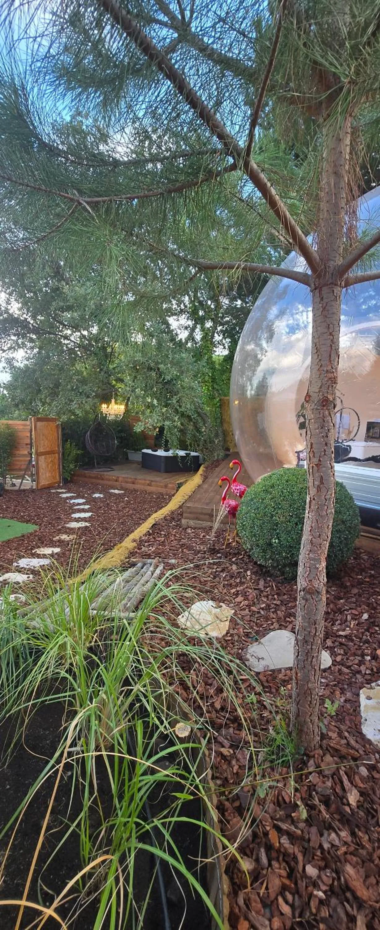 Photo of the whole room in Bubble Glamping Sicily