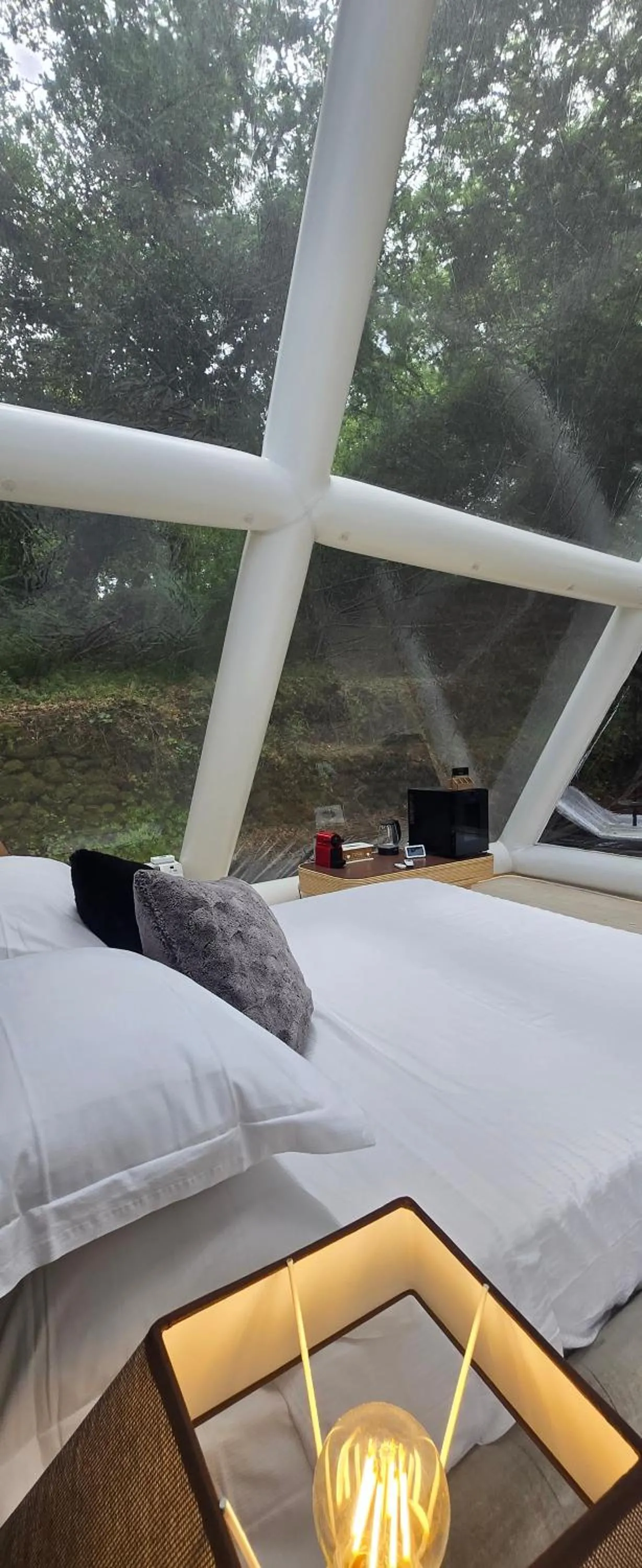 Photo of the whole room, Bed in Bubble Glamping Sicily