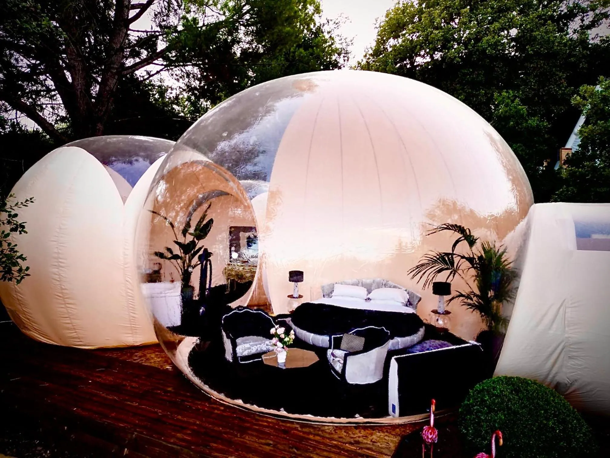 Photo of the whole room in Bubble Glamping Sicily