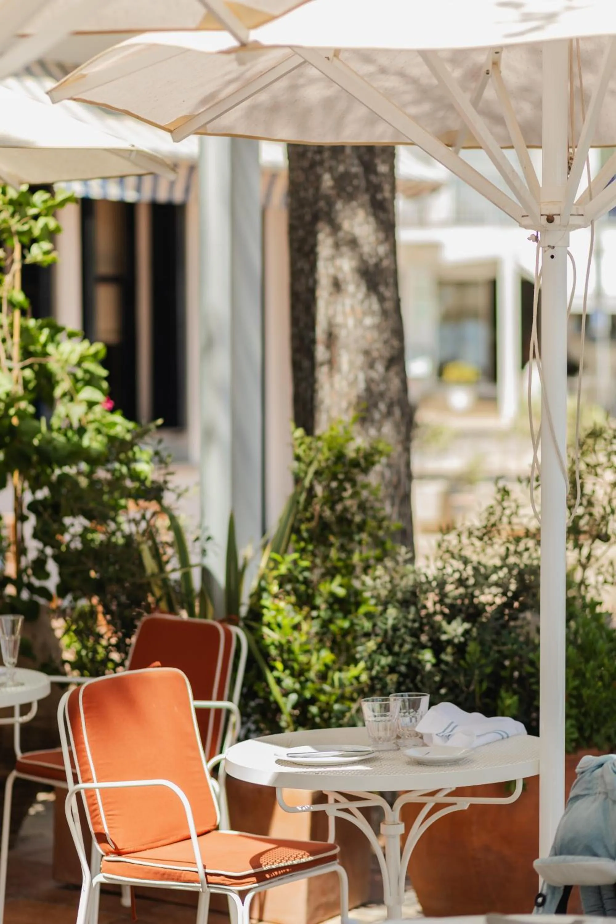 Restaurant/places to eat in Hotel Isabella's Llafranc